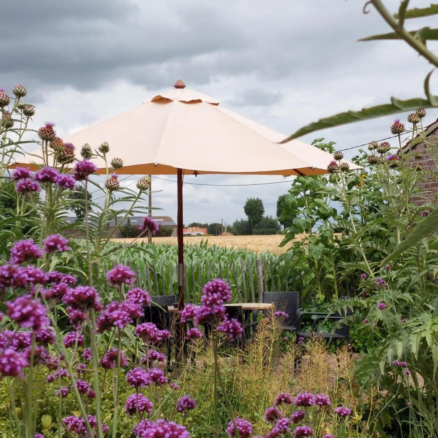 Balcony/Terrace in B&B Stefans Pottery