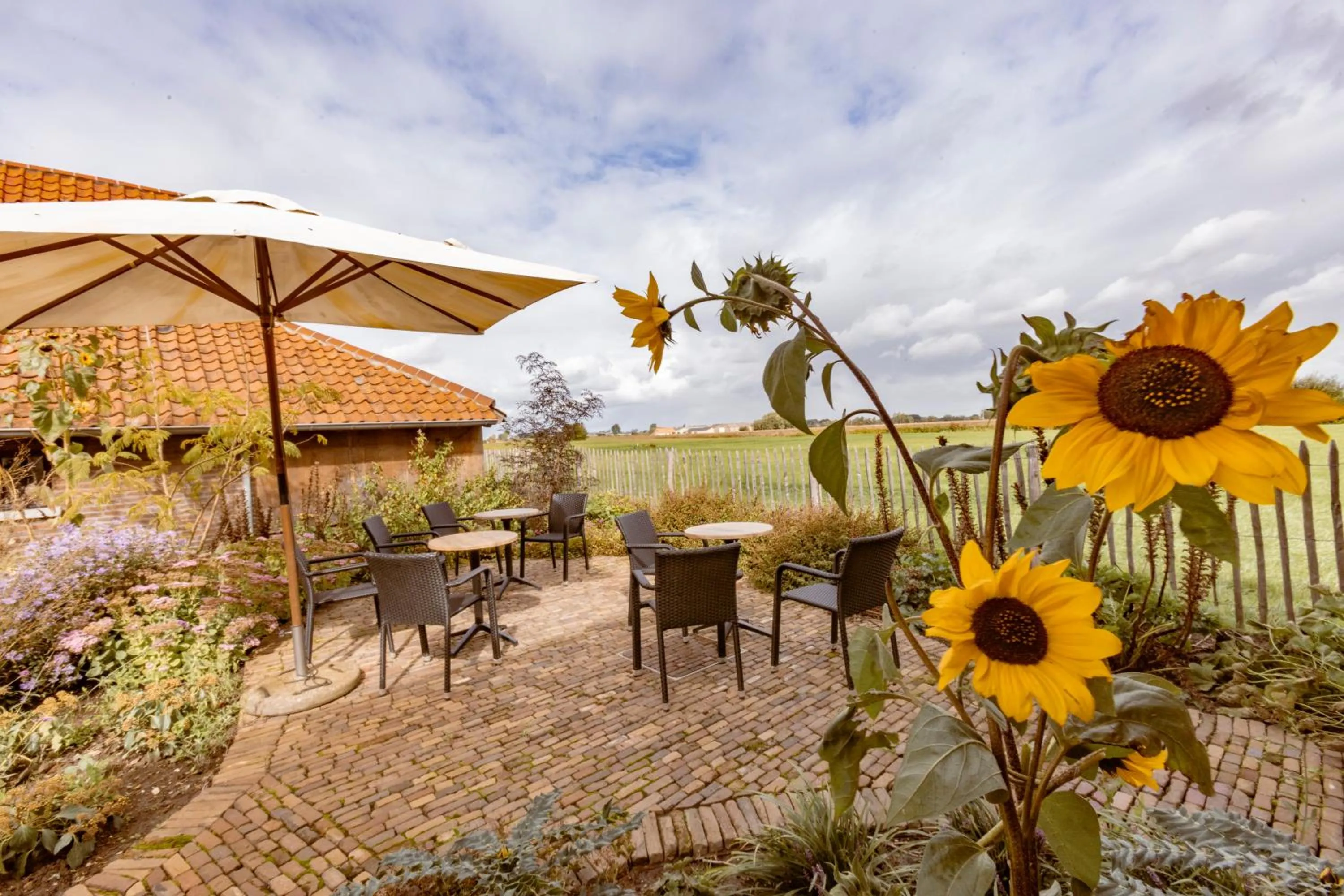 Patio in B&B Stefans Pottery