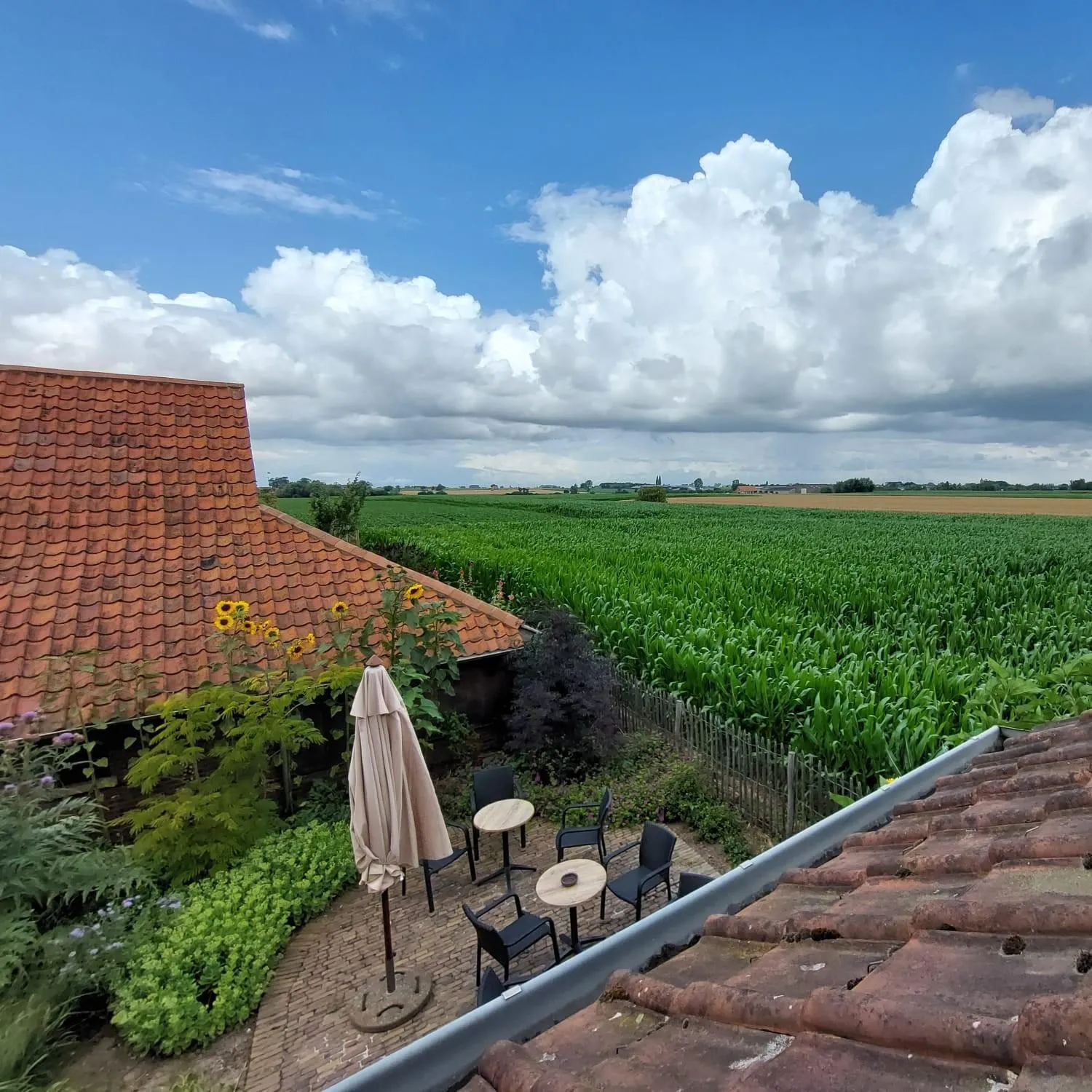 View (from property/room) in B&B Stefans Pottery