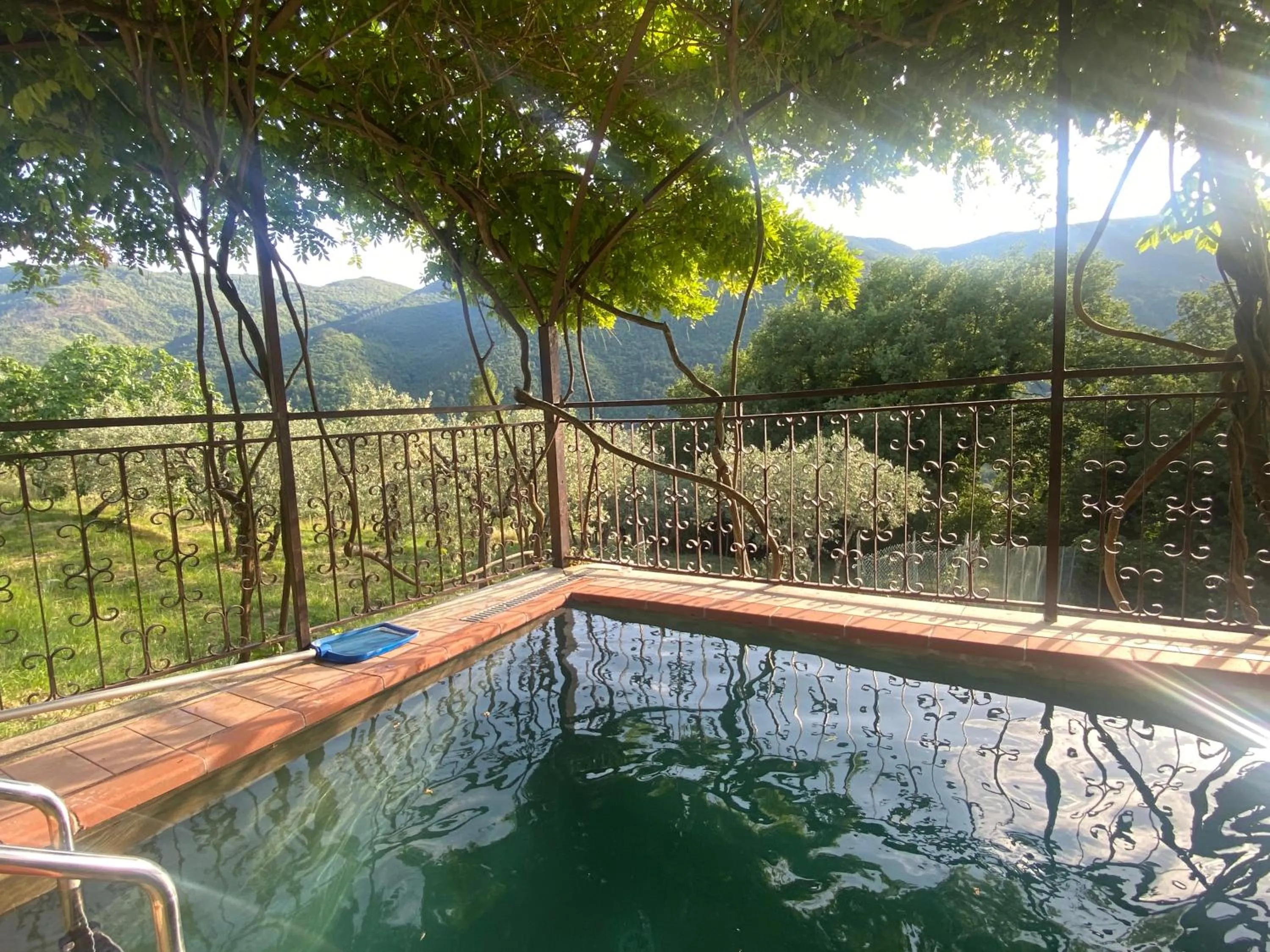 Swimming pool in B&B Rox e Claudia