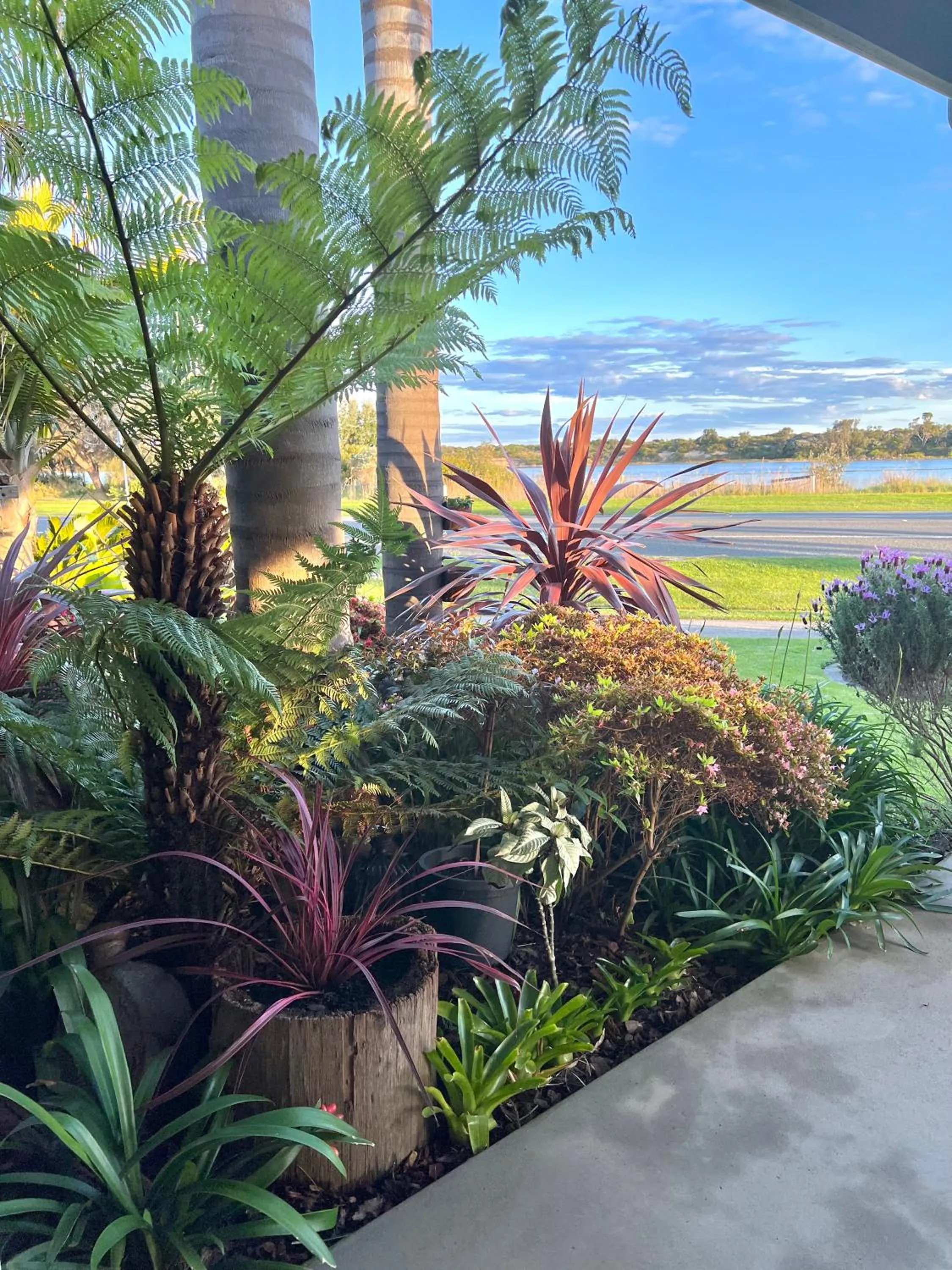 Garden in Coastal Waters Motor Inn