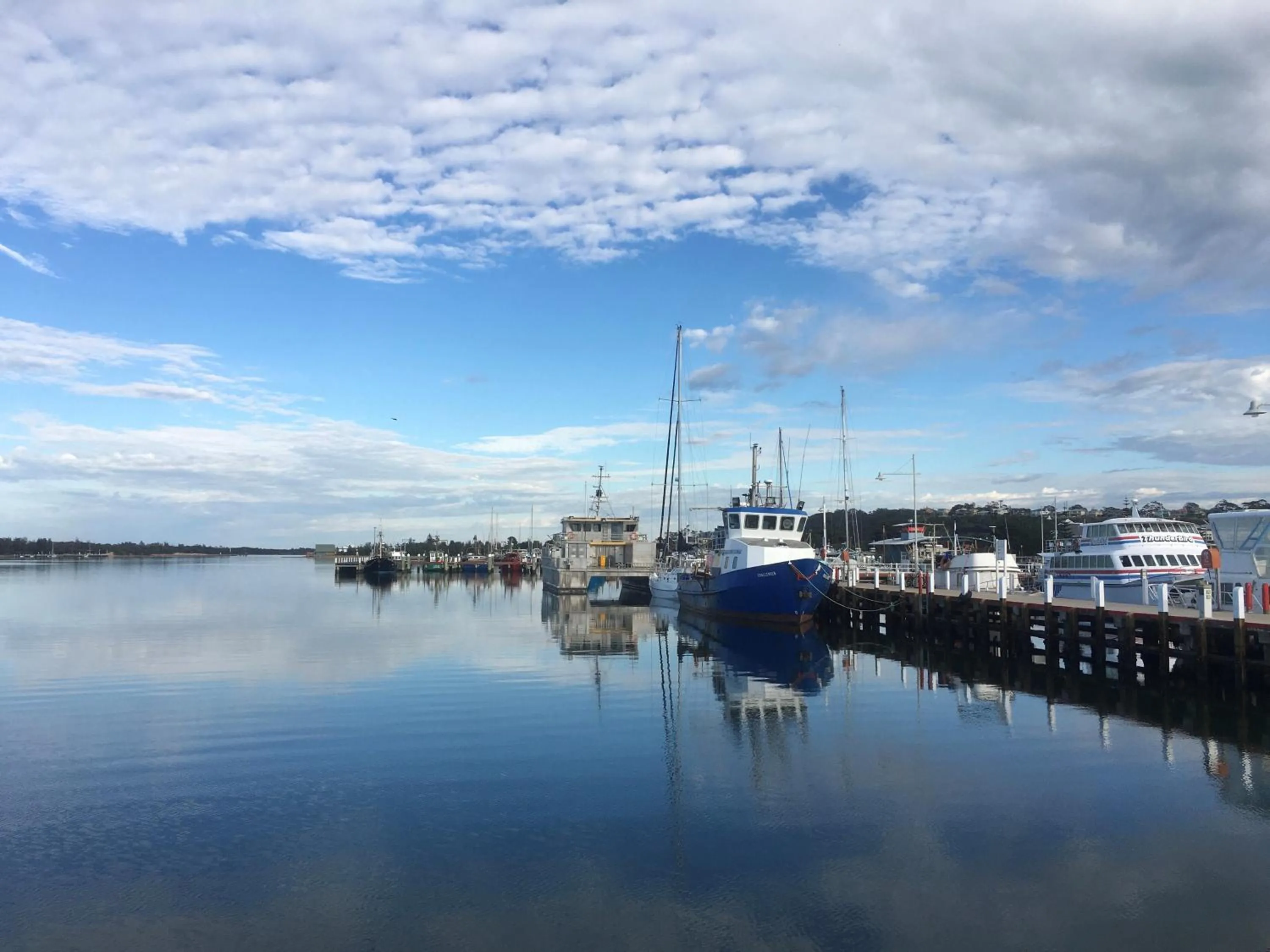 Natural landscape in Coastal Waters Motor Inn