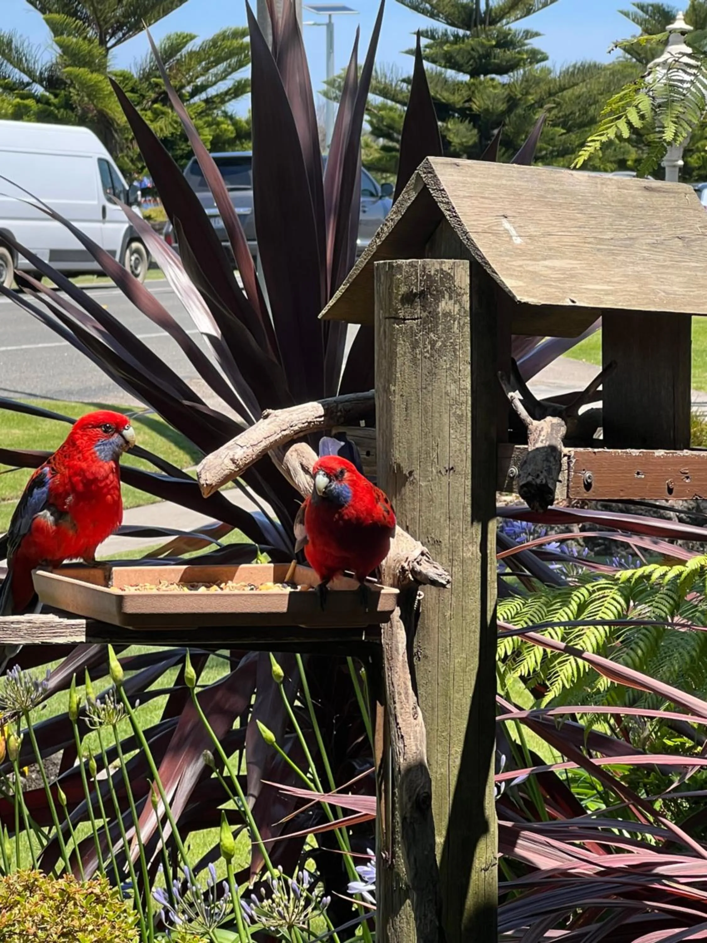 Coastal Waters Motor Inn