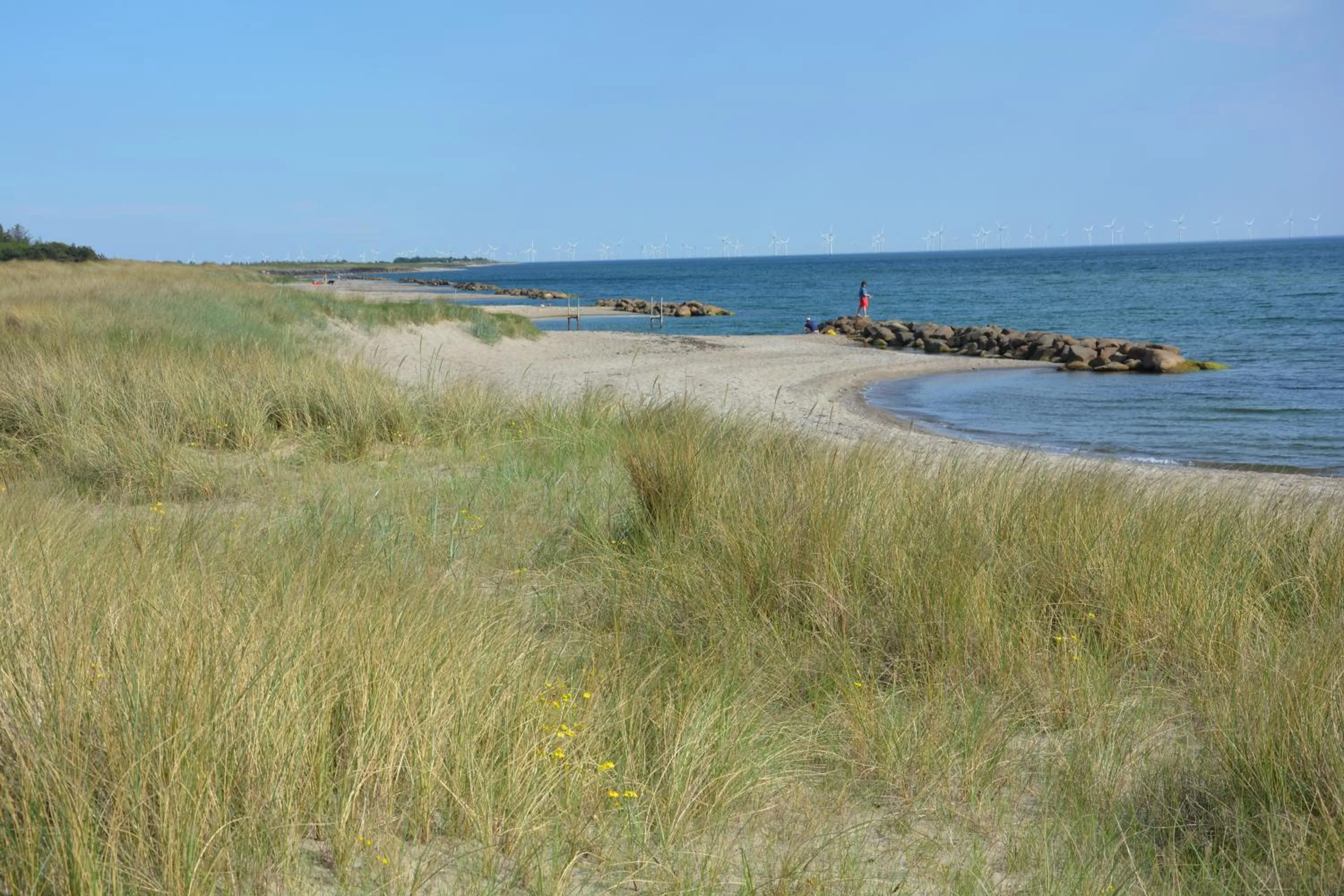 Natural landscape in KirkeLy Bed and Breakfast