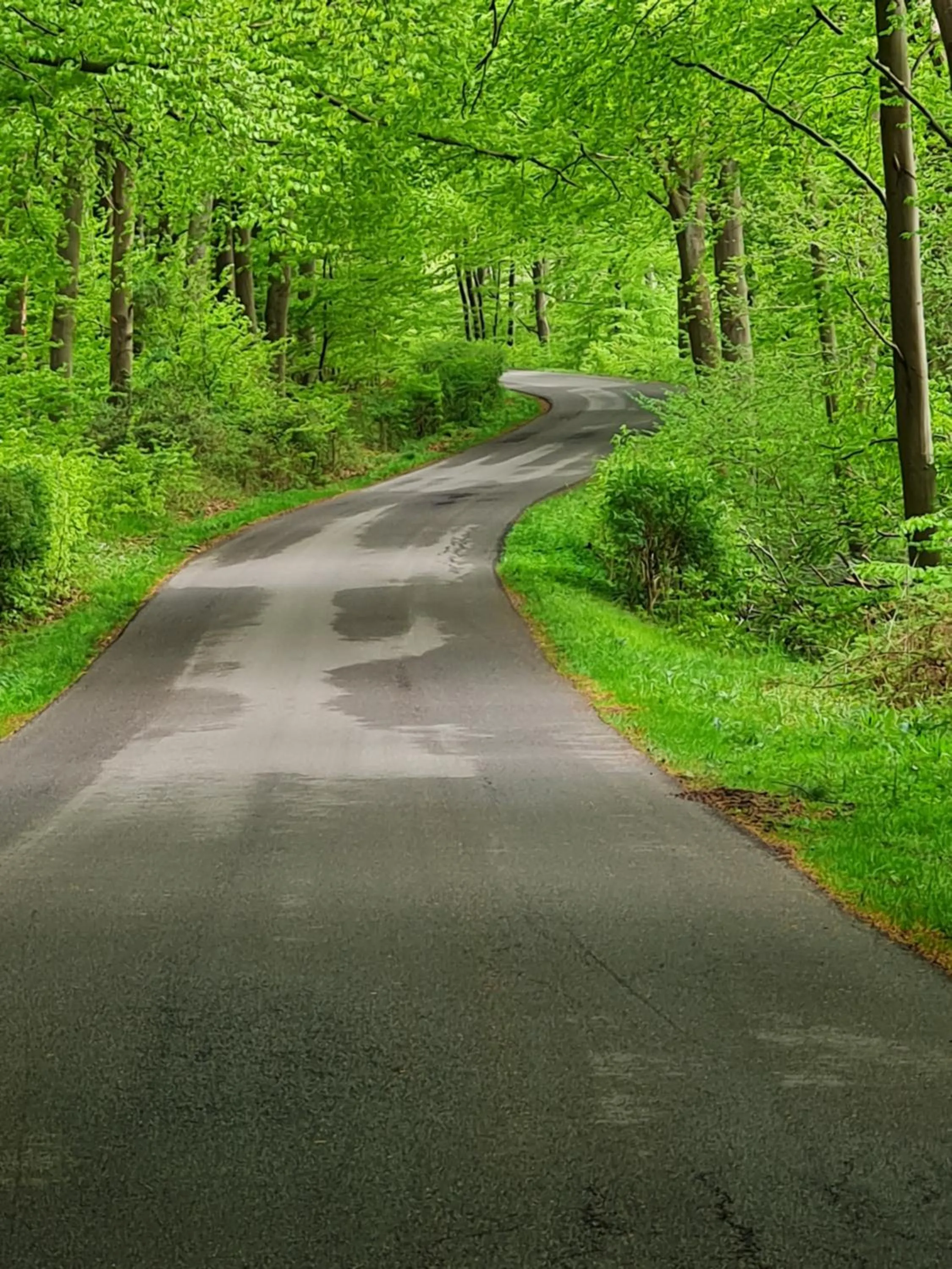Nearby landmark in KirkeLy Bed and Breakfast