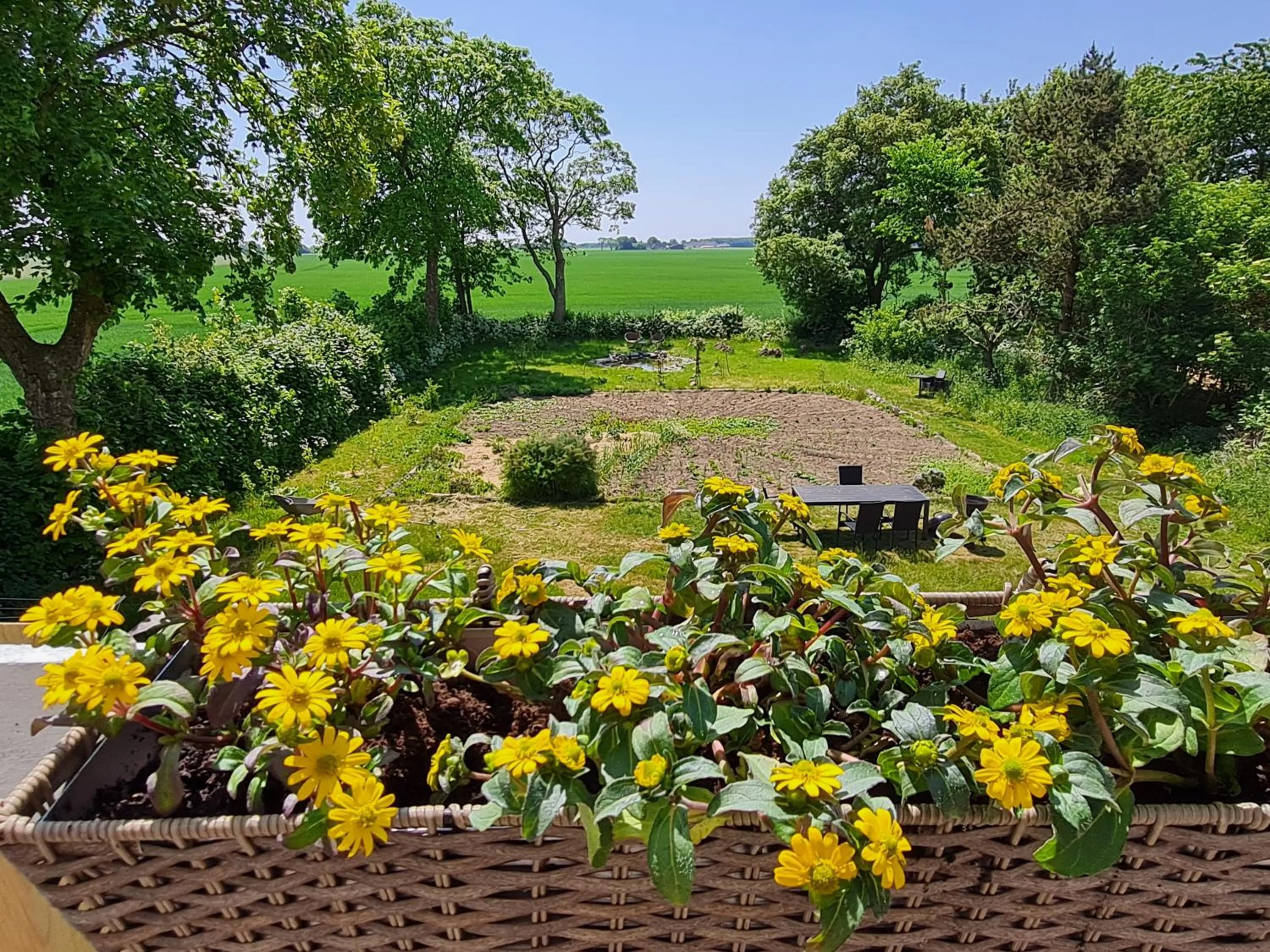 View (from property/room) in KirkeLy Bed and Breakfast