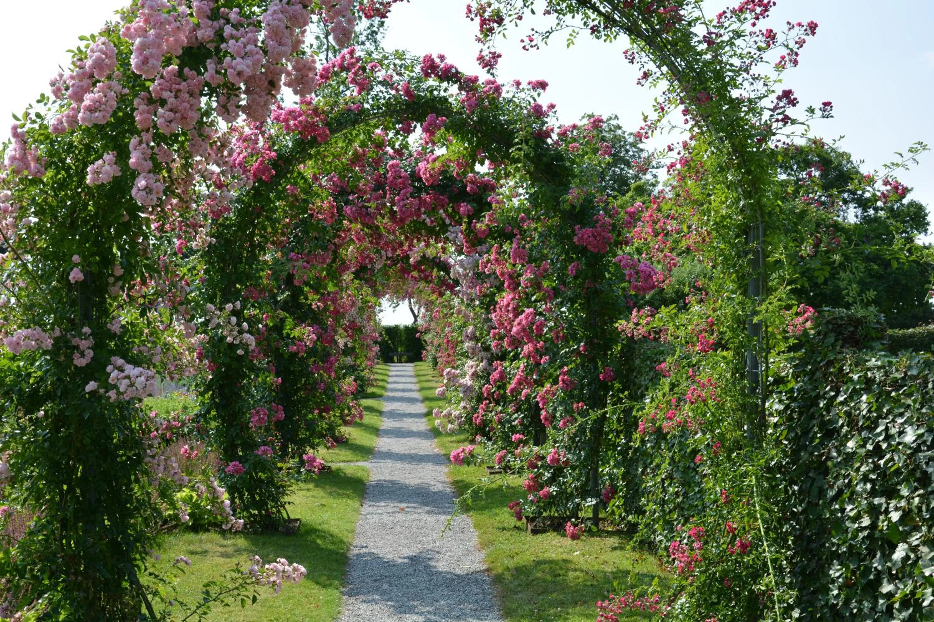 Activities in KirkeLy Bed and Breakfast