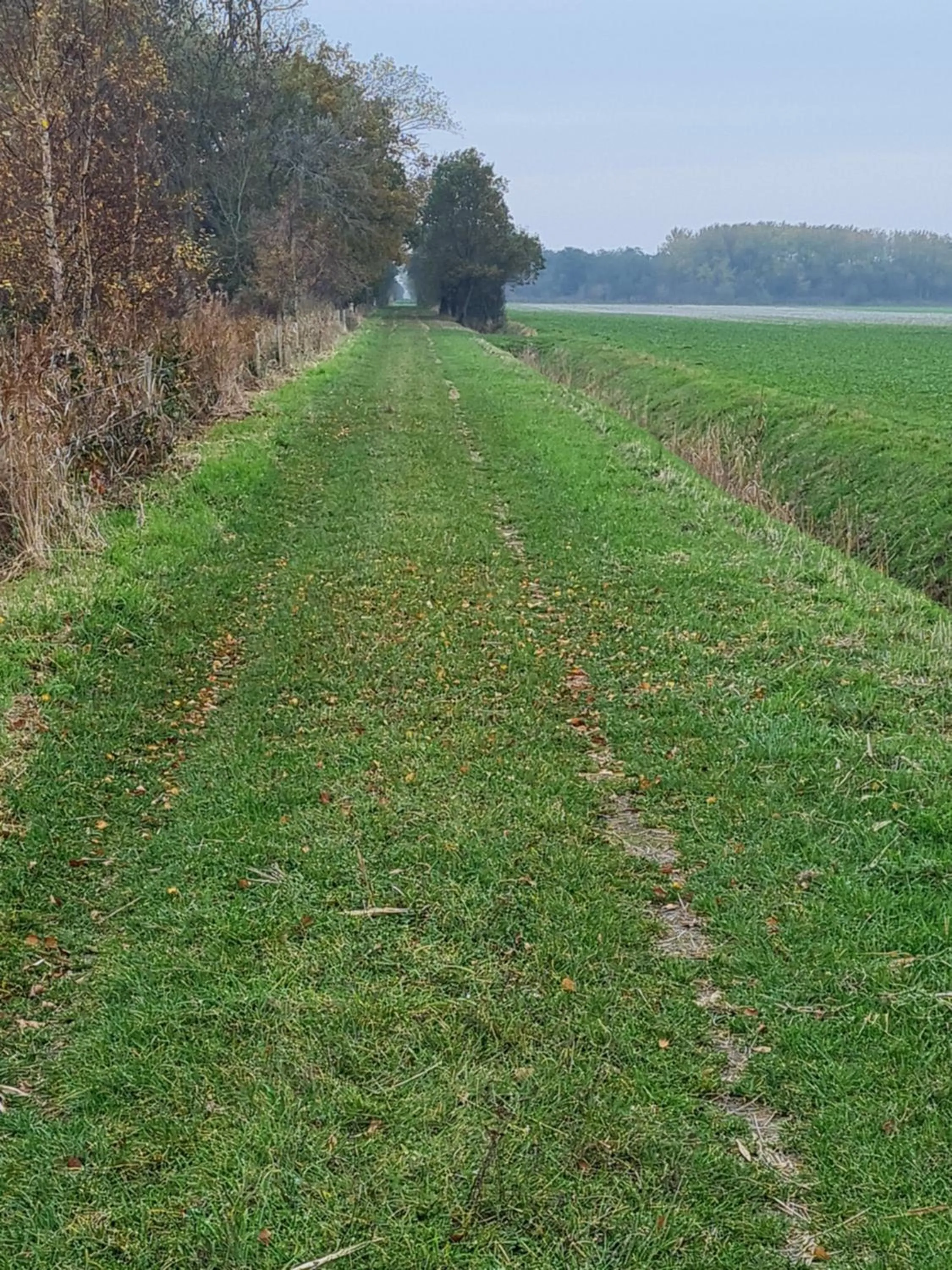 Hiking in KirkeLy Bed and Breakfast