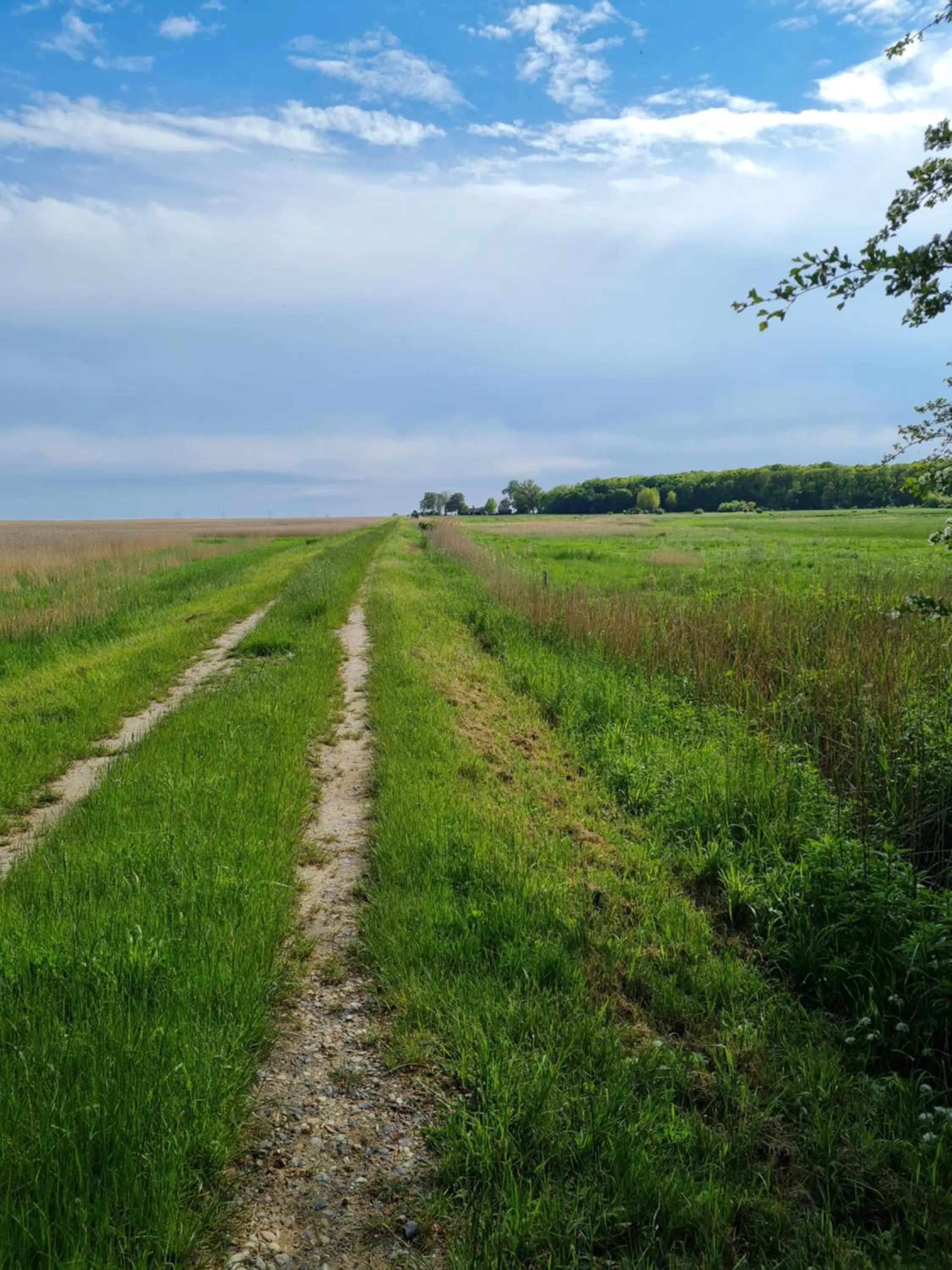 Hiking in KirkeLy Bed and Breakfast