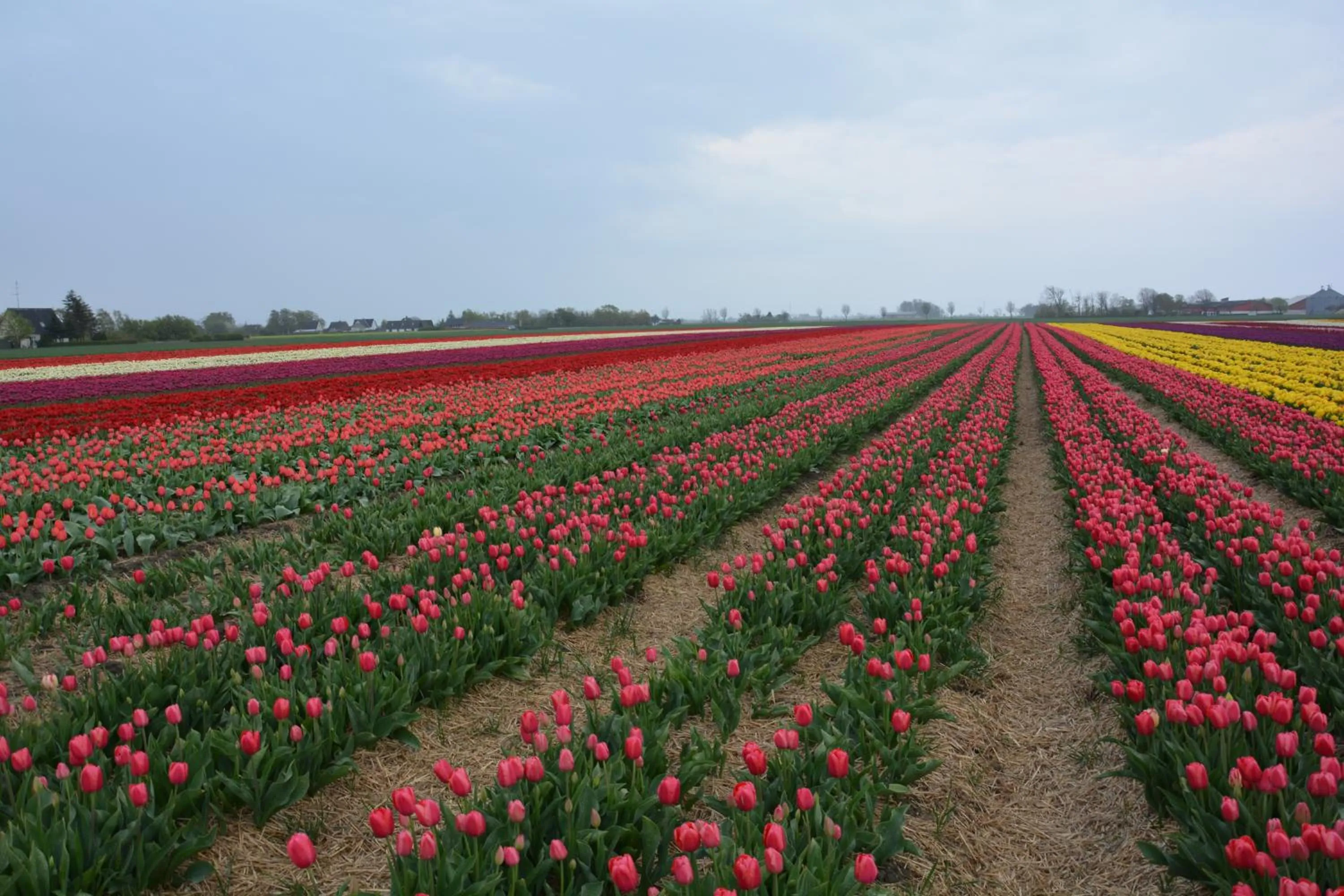 Natural landscape in KirkeLy Bed and Breakfast