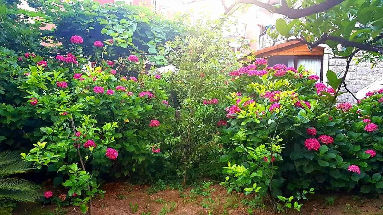 Garden in El Mar Apartments