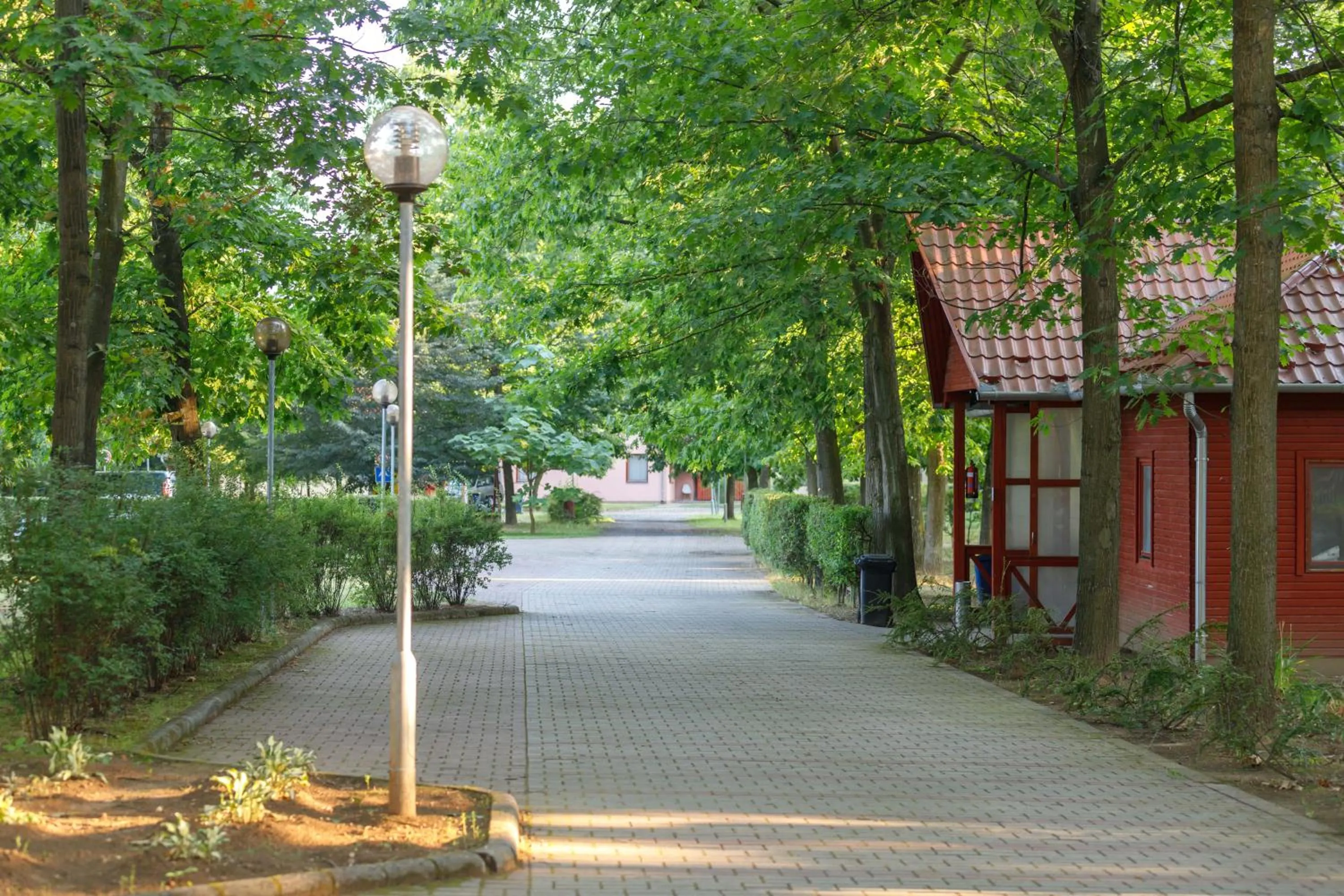 Sárkány Apartman és Kemping
