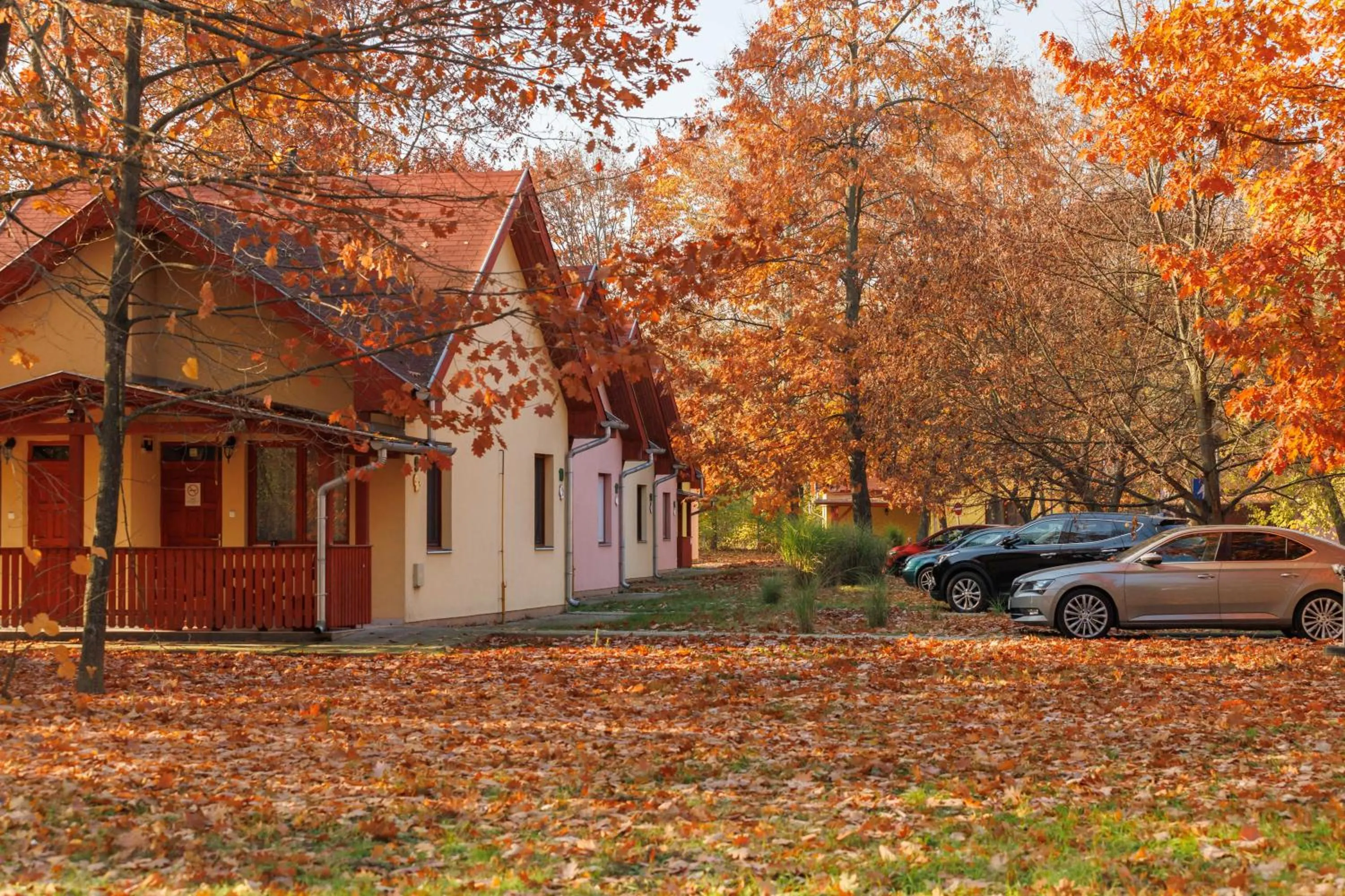 Sárkány Apartman és Kemping