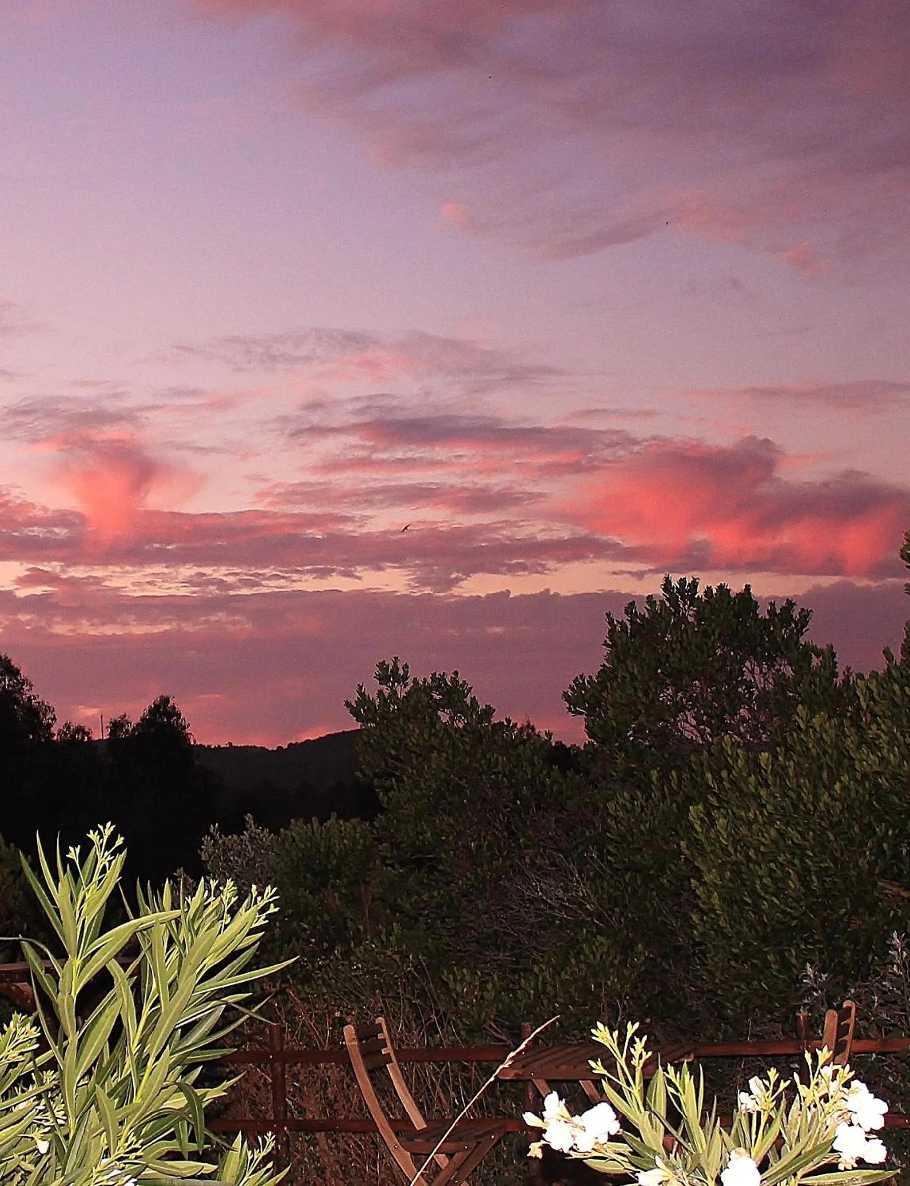 View (from property/room) in Herdade Quinta Natura Turismo Rural