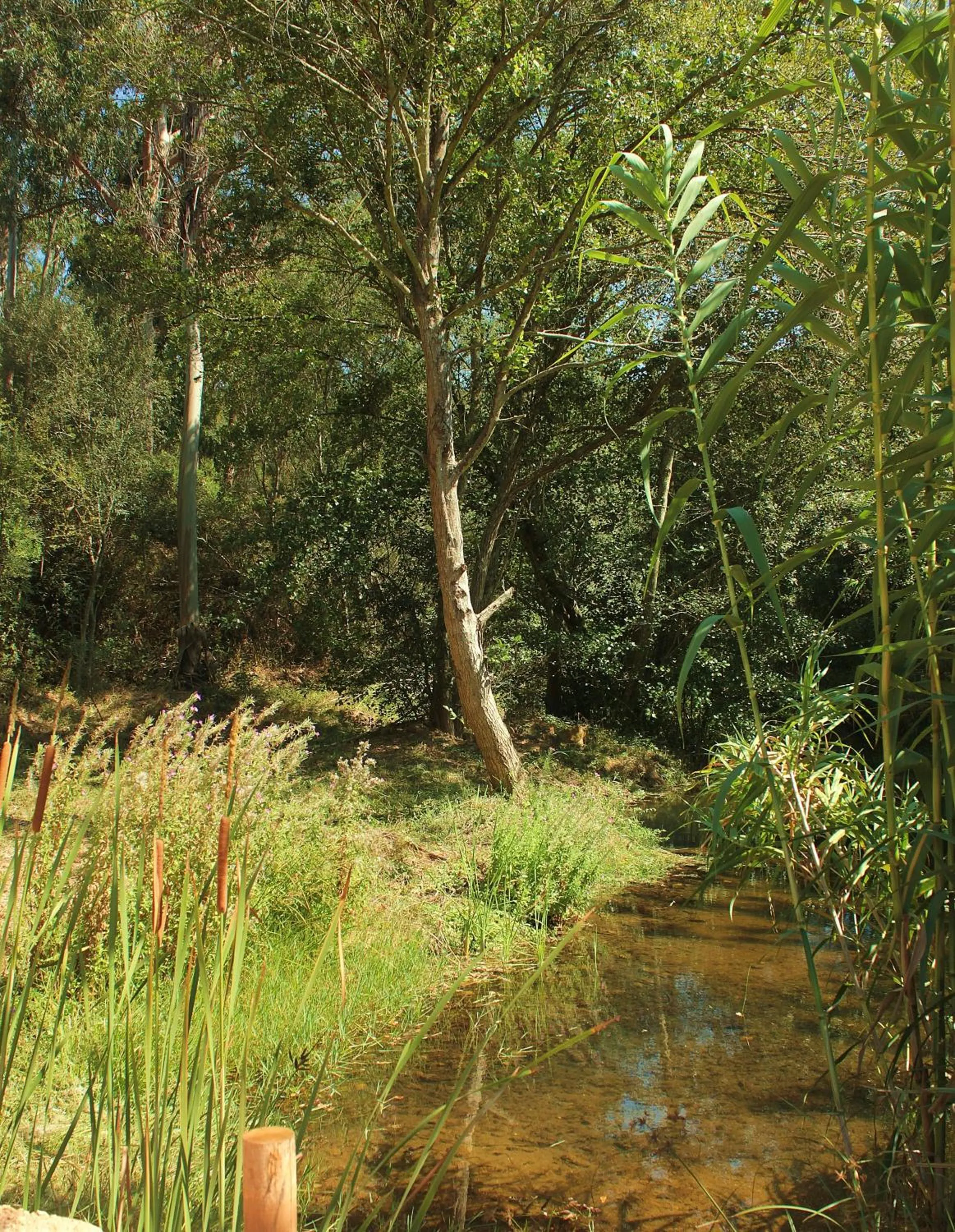 Facade/entrance in Herdade Quinta Natura Turismo Rural