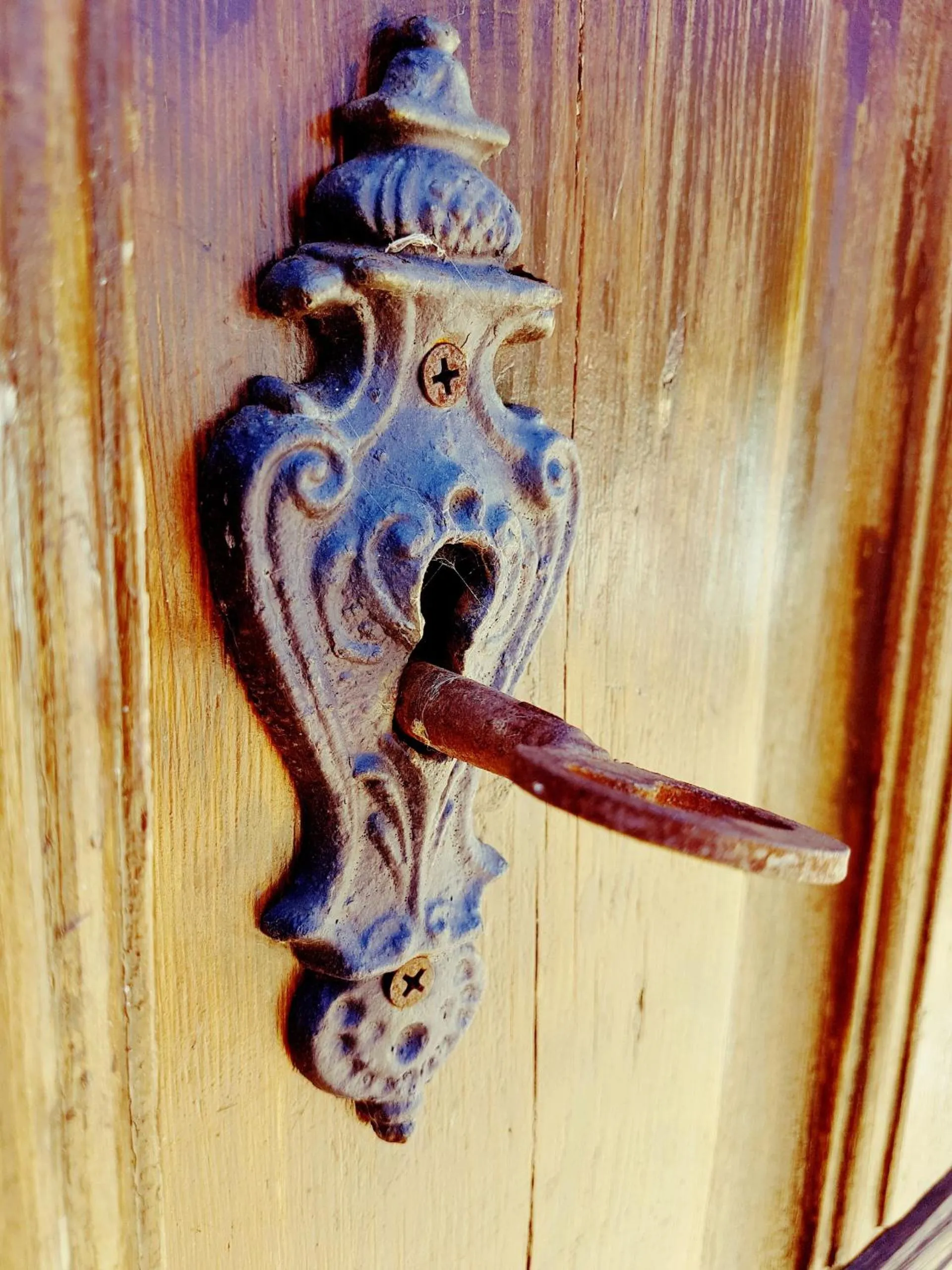 Herdade Quinta Natura Turismo Rural