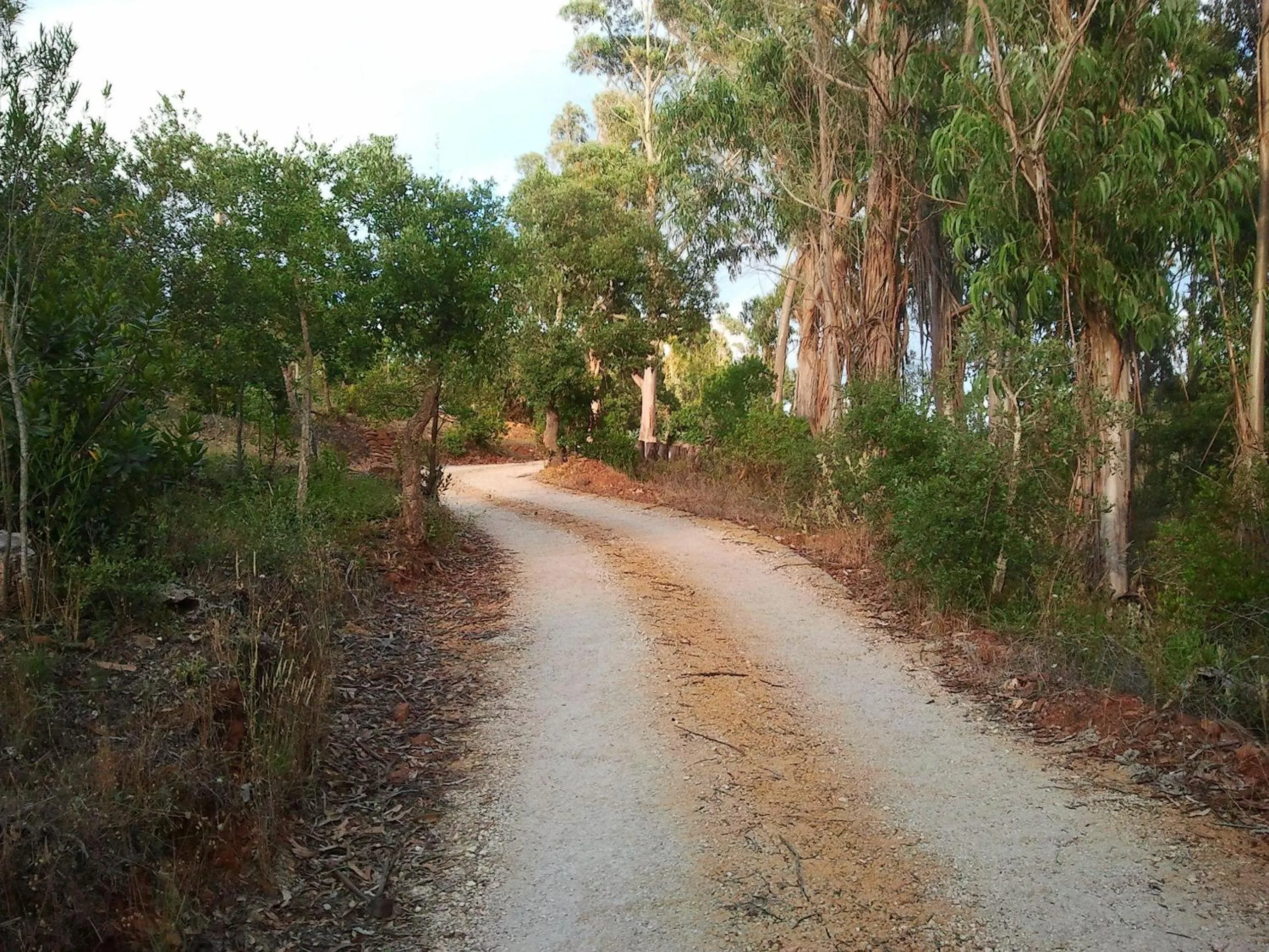 Area and facilities in Herdade Quinta Natura Turismo Rural