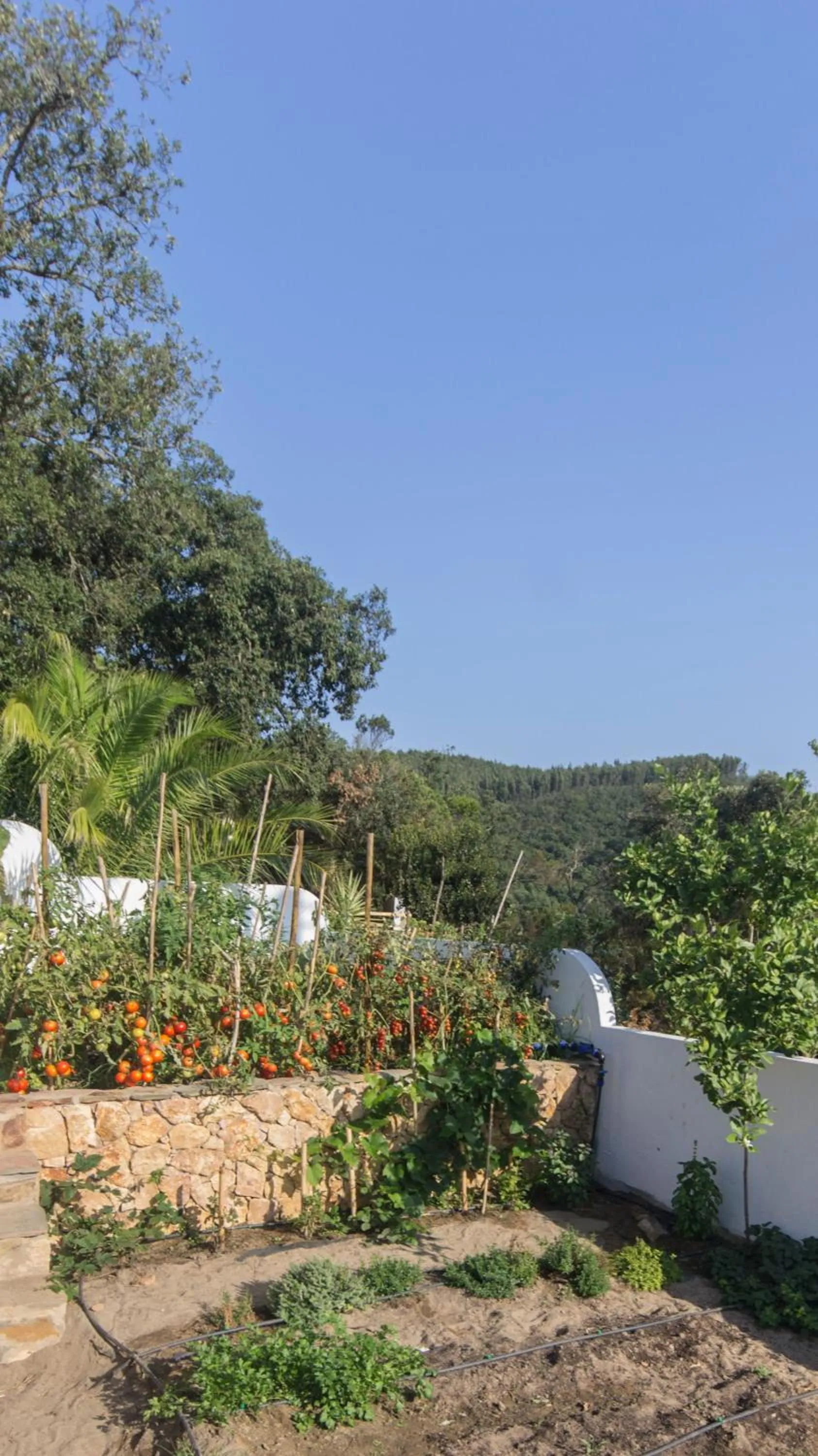 Facade/entrance in Herdade Quinta Natura Turismo Rural