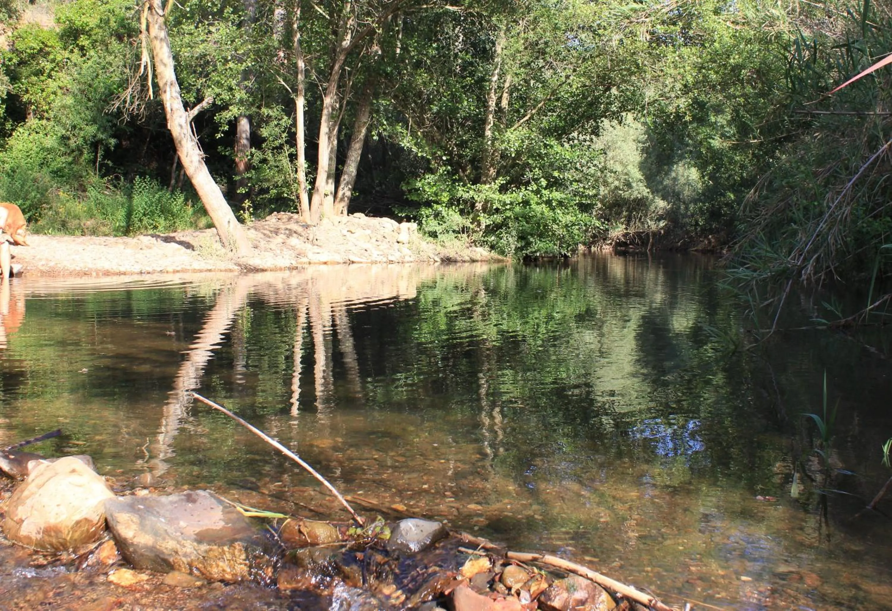 Garden in Herdade Quinta Natura Turismo Rural