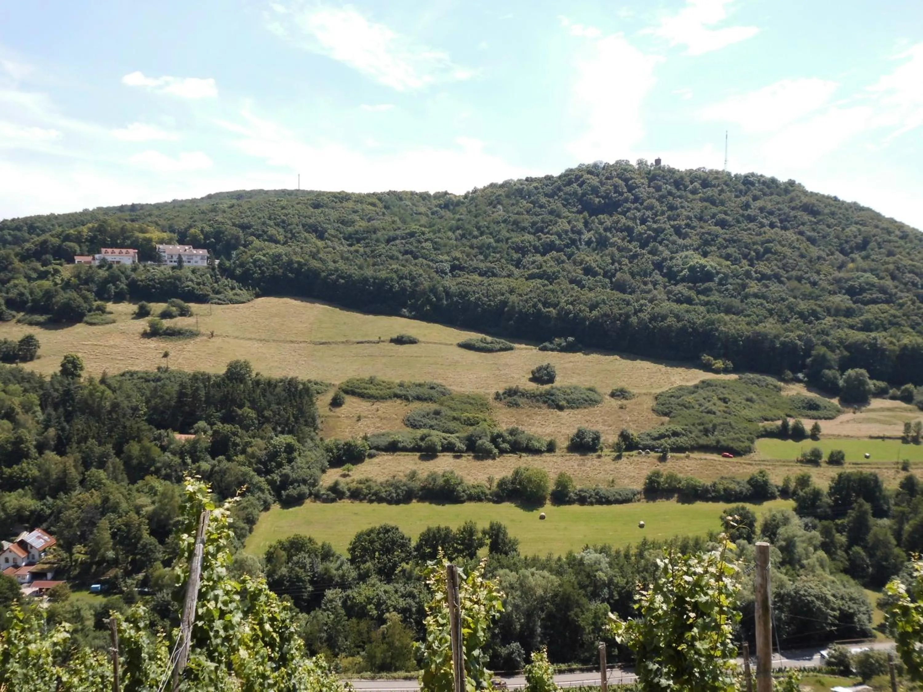 Mountain view in Burg-Hotel