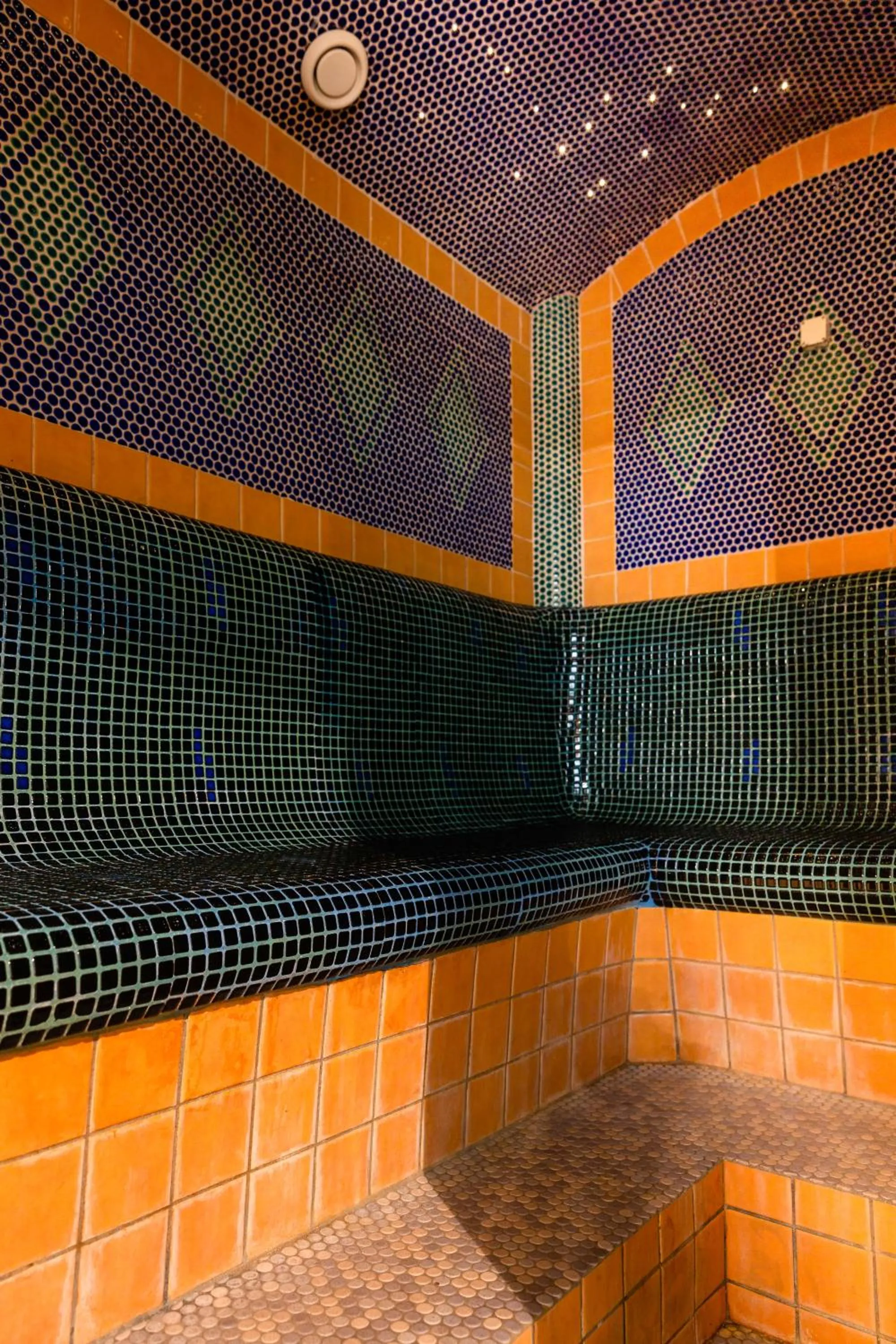 Spa and wellness centre/facilities in Scharfegger's Raxalpenhof - Zuhause am Land