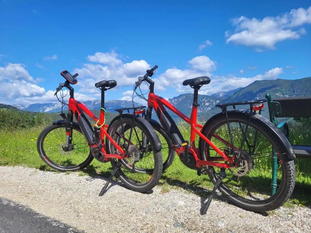 Cycling in Scharfegger's Raxalpenhof - Zuhause am Land