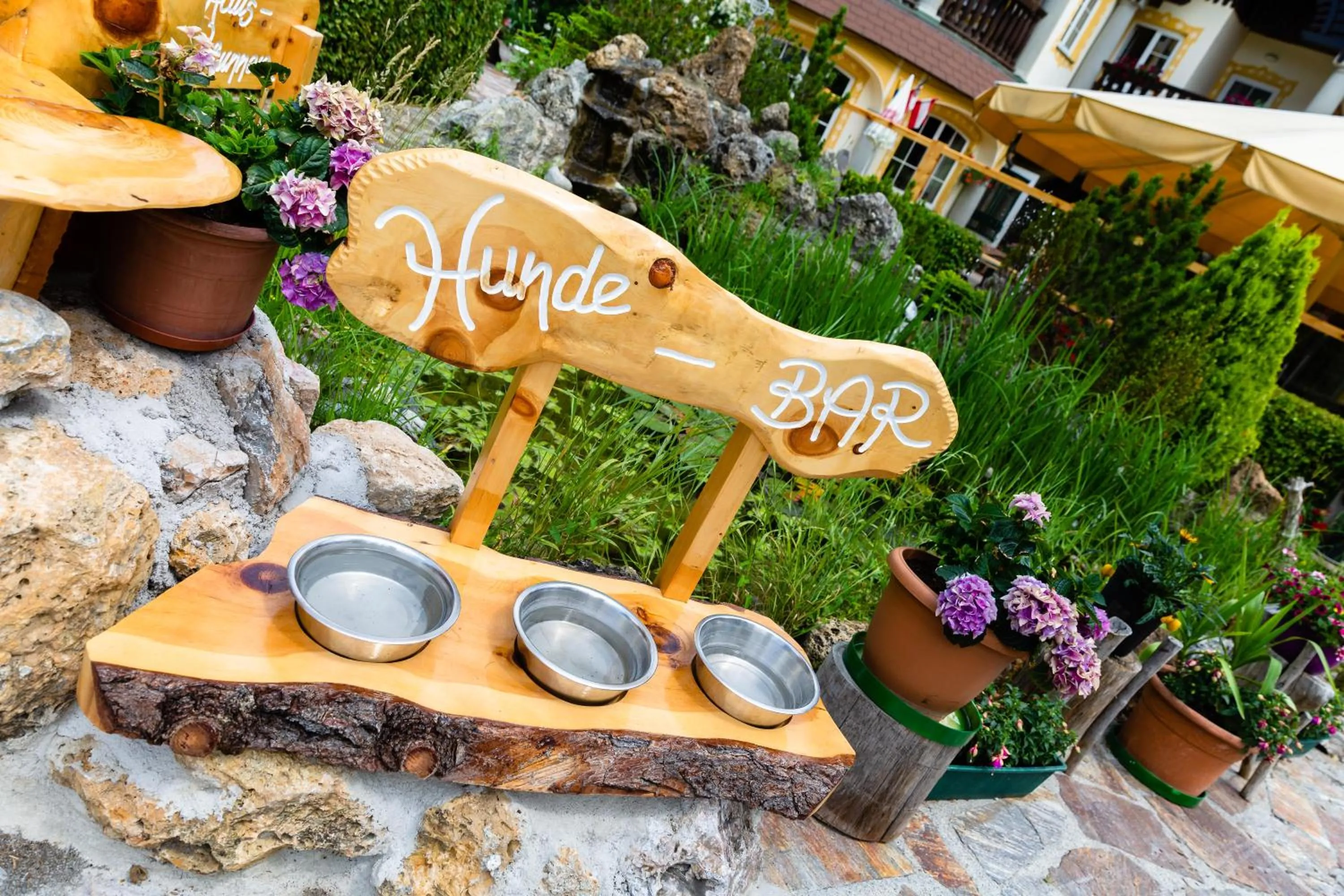 Animals in Scharfegger's Raxalpenhof - Zuhause am Land