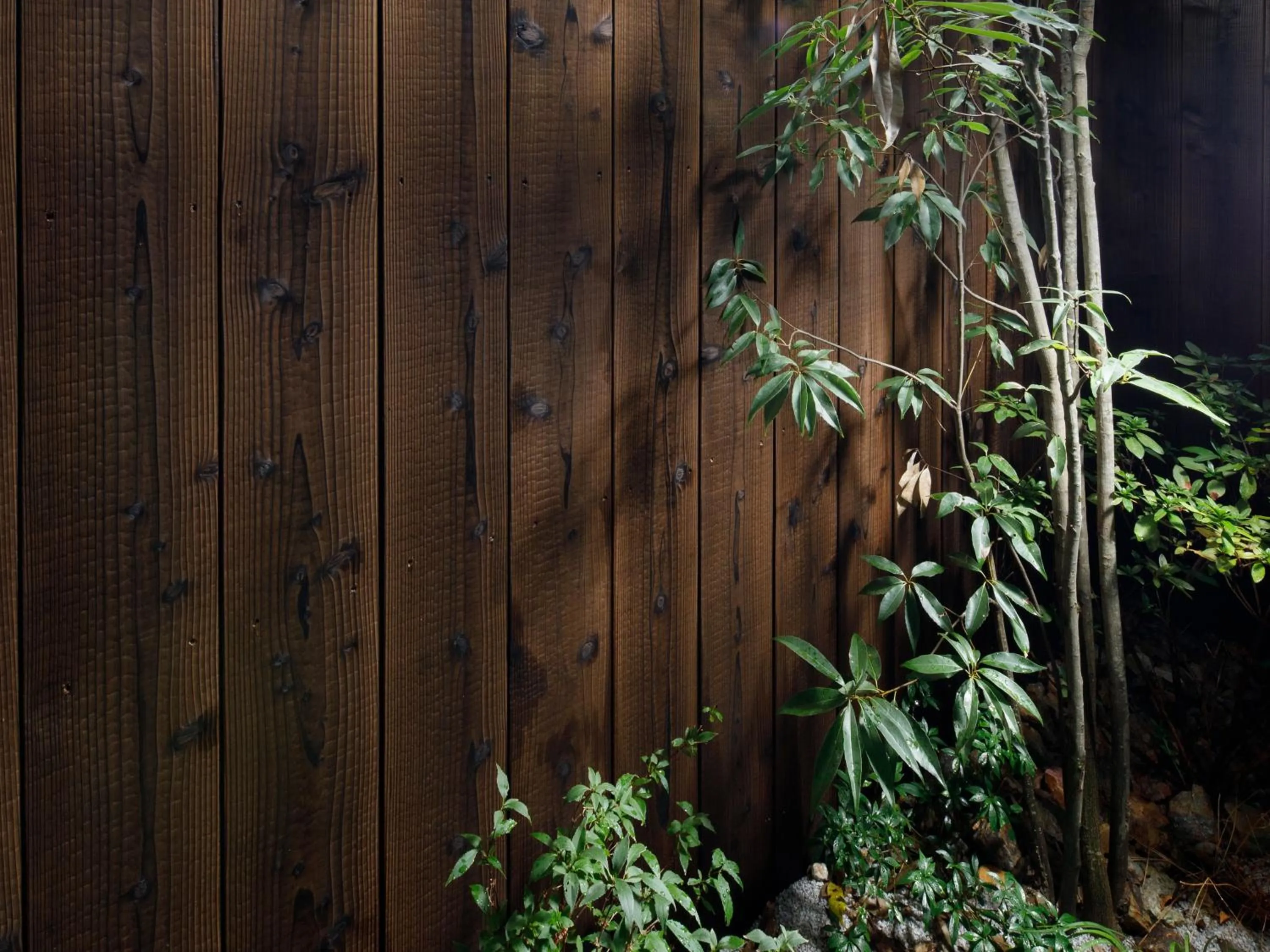 Other in Kanade Fushimiinari-Taishame