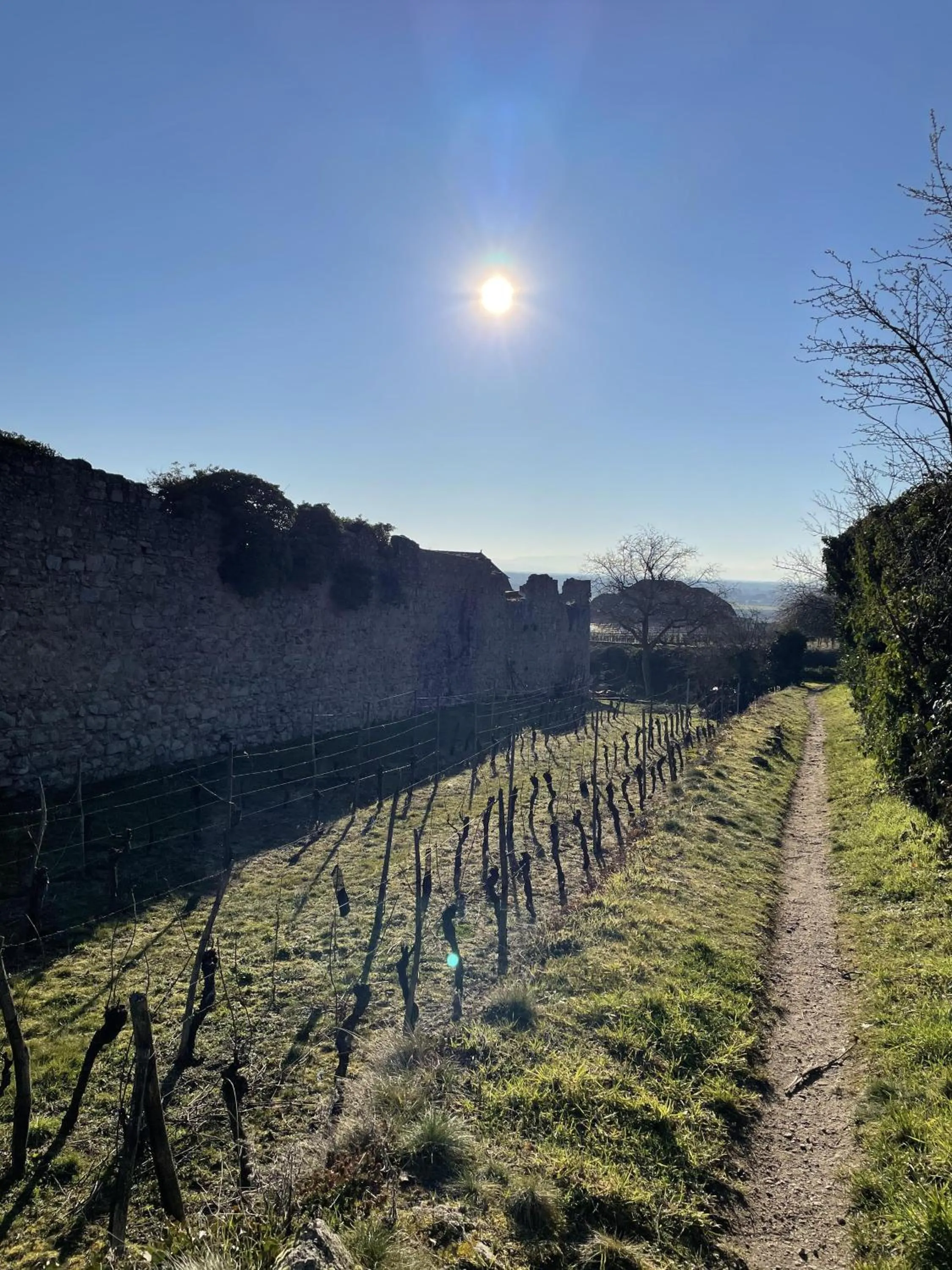 Activities in Le Refuge du Rempart