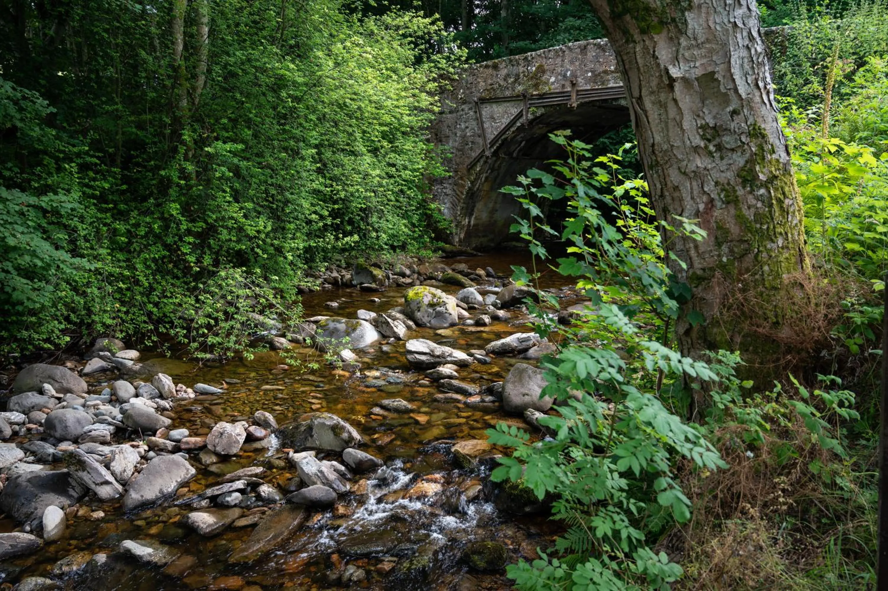 River view in Ardeonaig Hotel & Restaurant