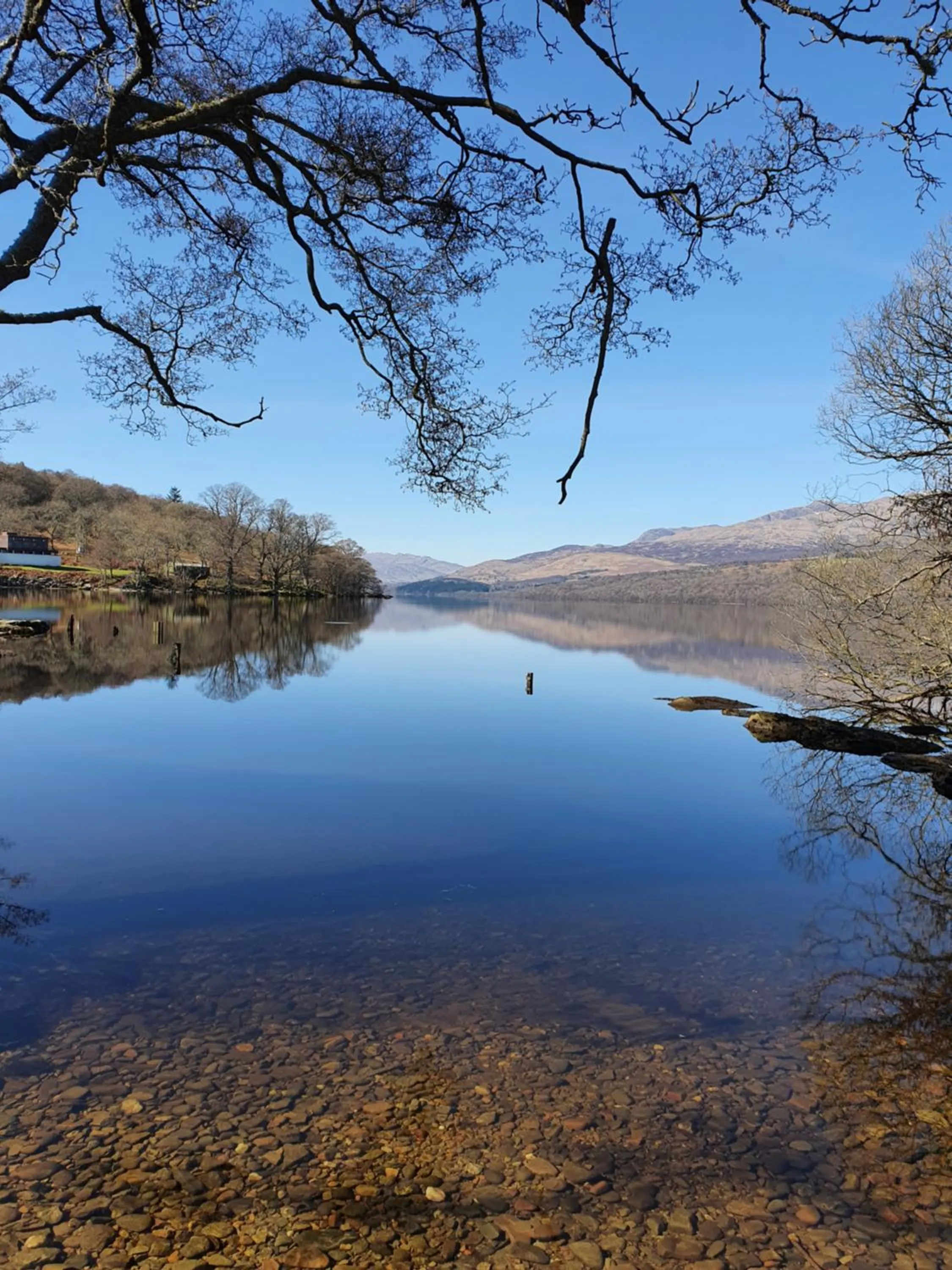 Natural landscape in Ardeonaig Hotel & Restaurant