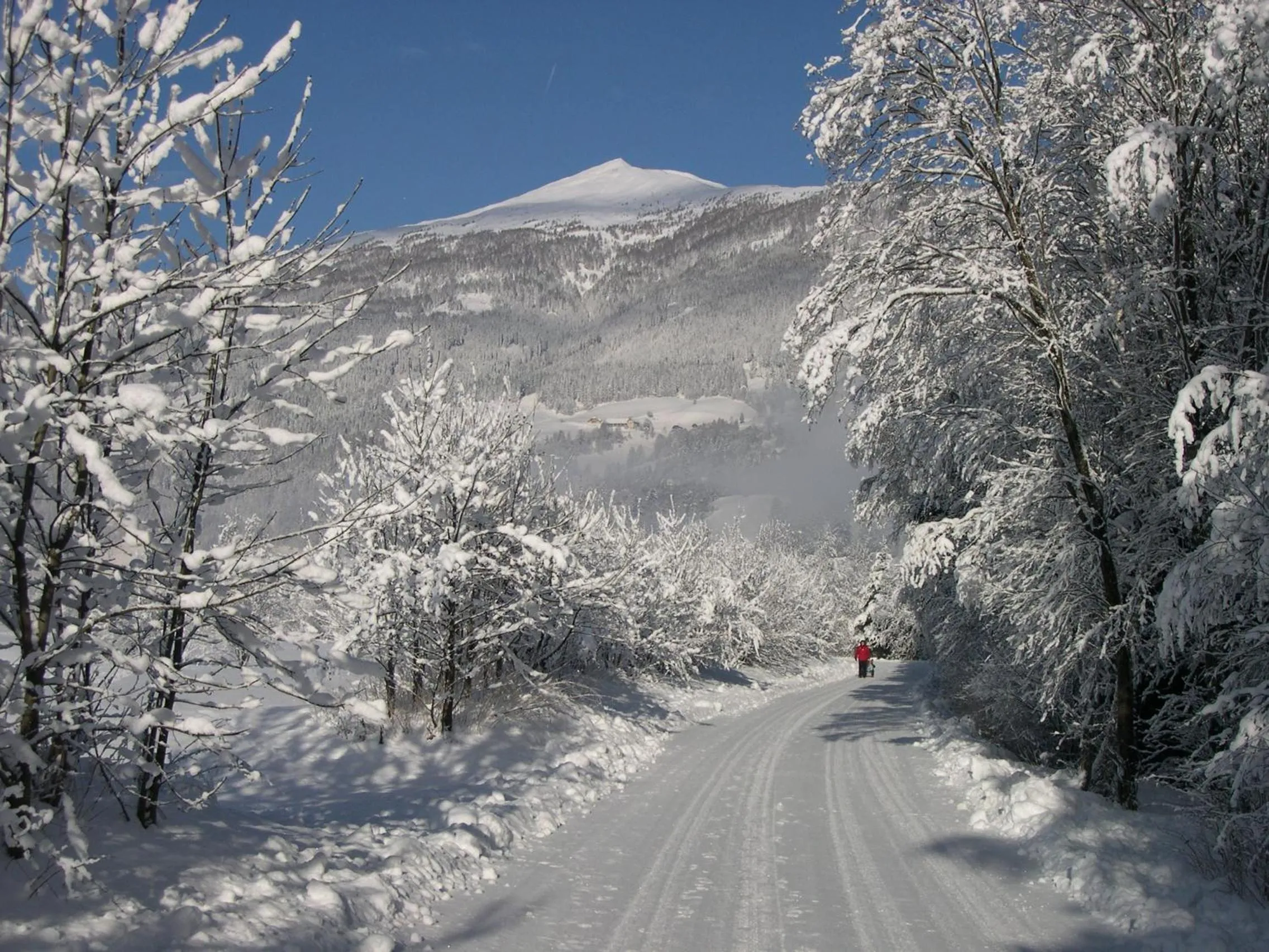 Area and facilities in Landhotel Stofflerwirt
