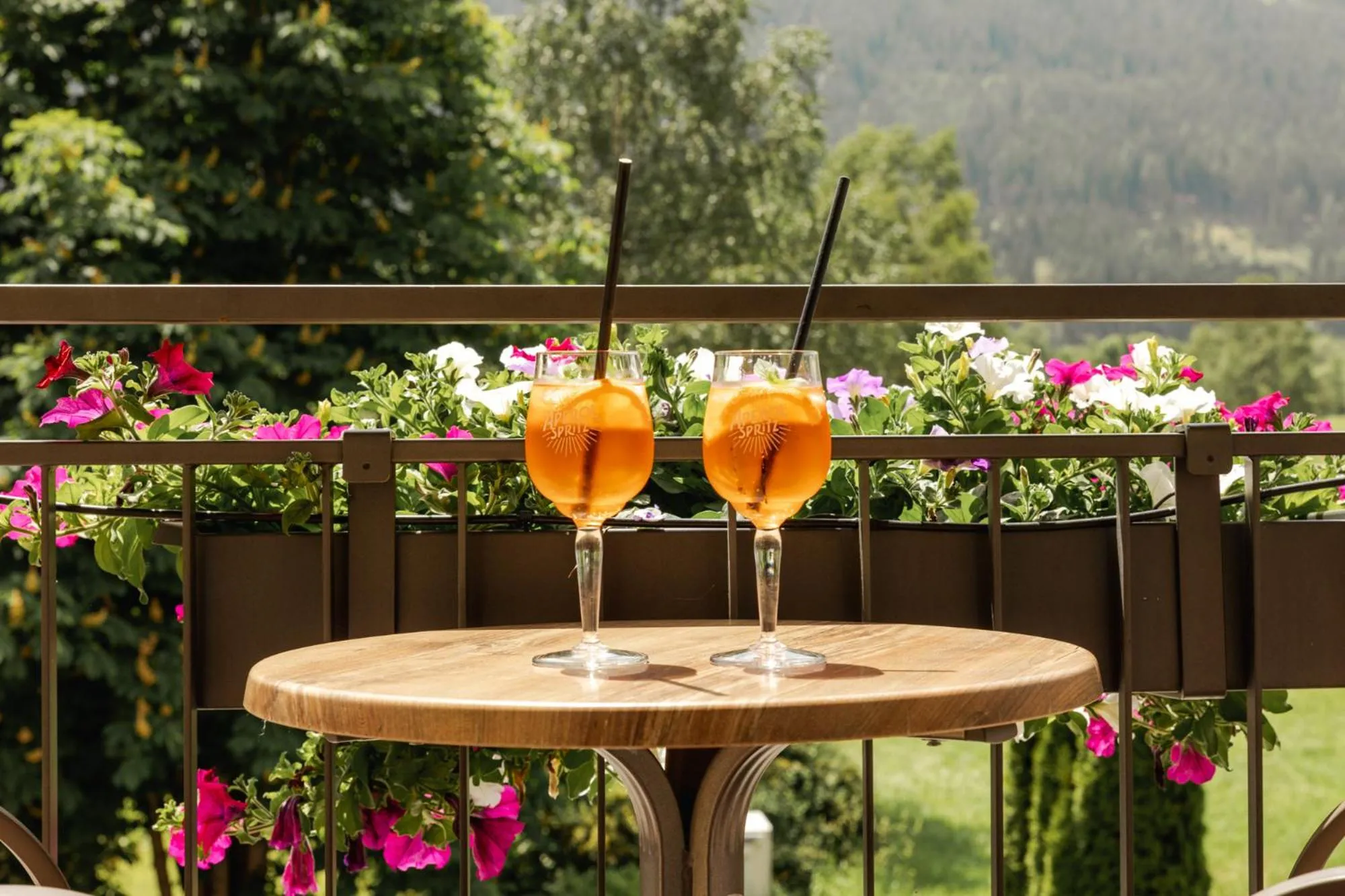 Balcony/Terrace in Landhotel Stofflerwirt