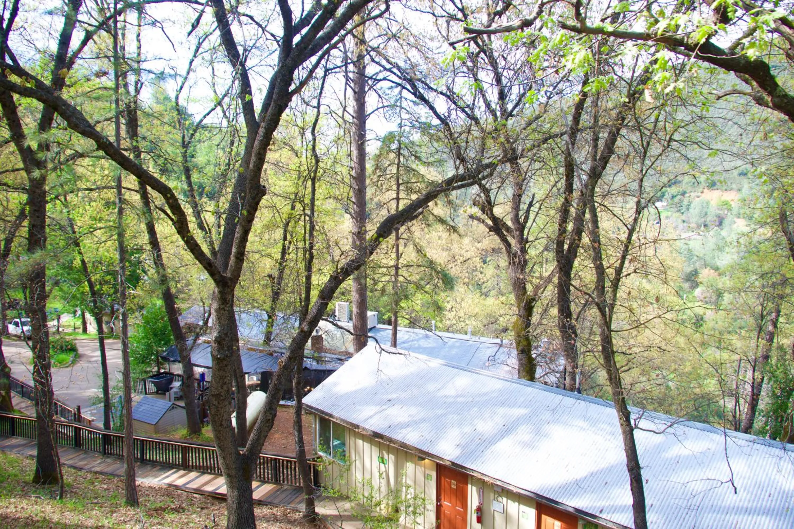 Yosemite Bug Rustic Mountain Resort