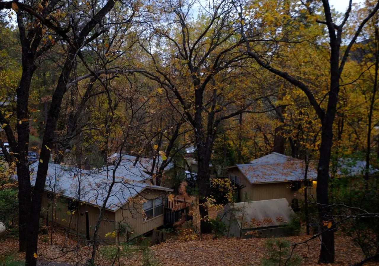 Bird's eye view in Yosemite Bug Rustic Mountain Resort