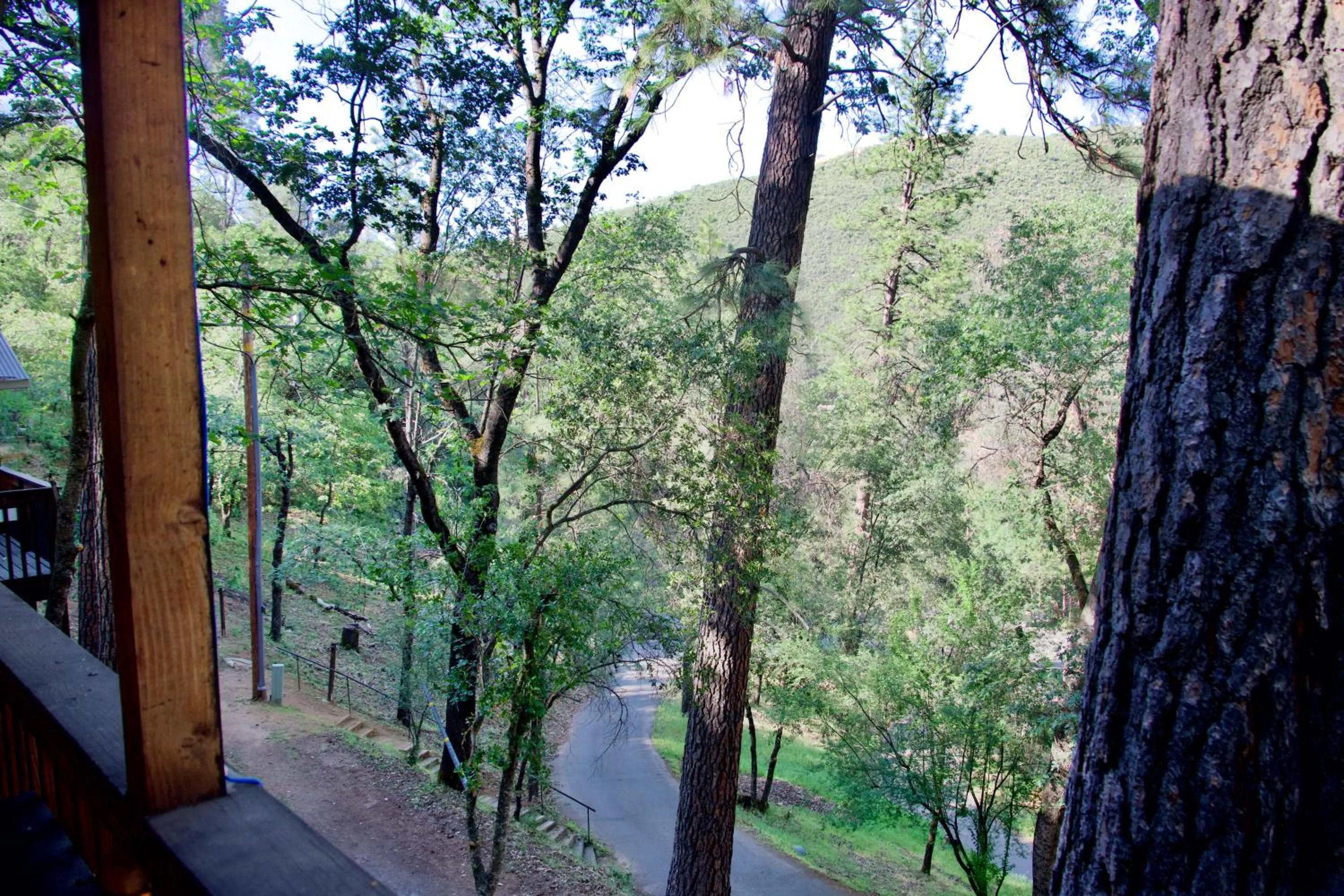 Yosemite Bug Rustic Mountain Resort