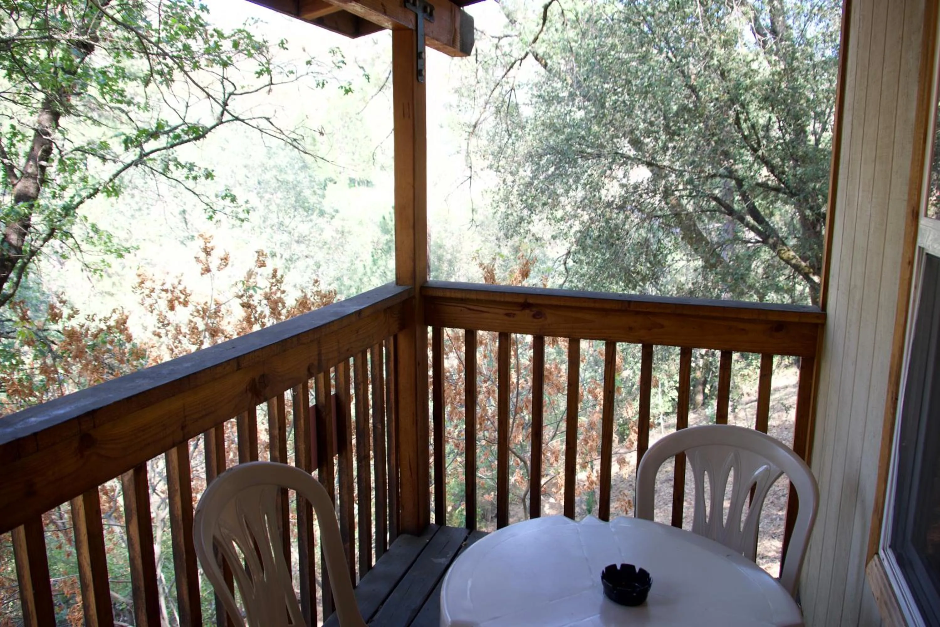 Yosemite Bug Rustic Mountain Resort