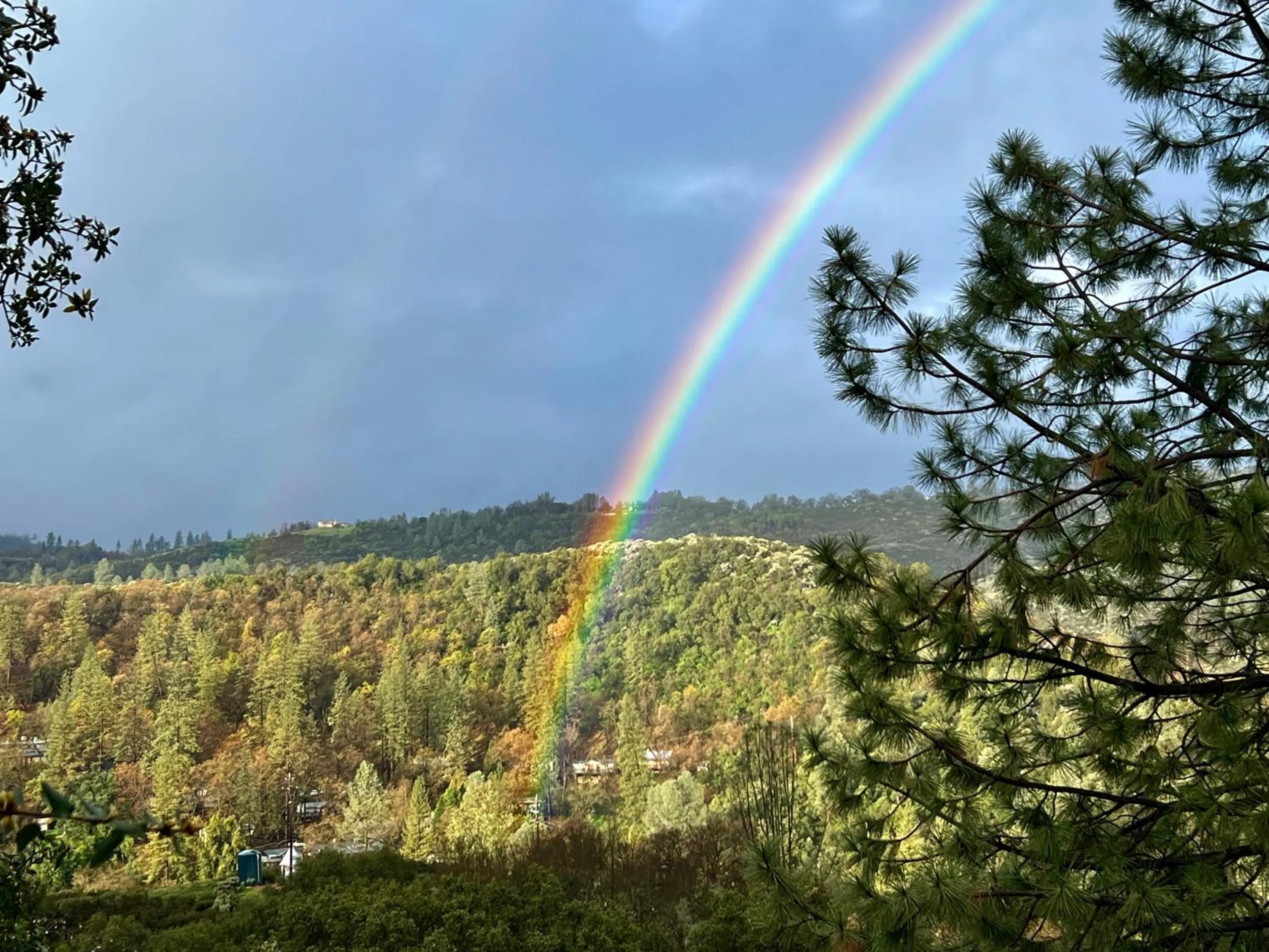 Yosemite Bug Rustic Mountain Resort