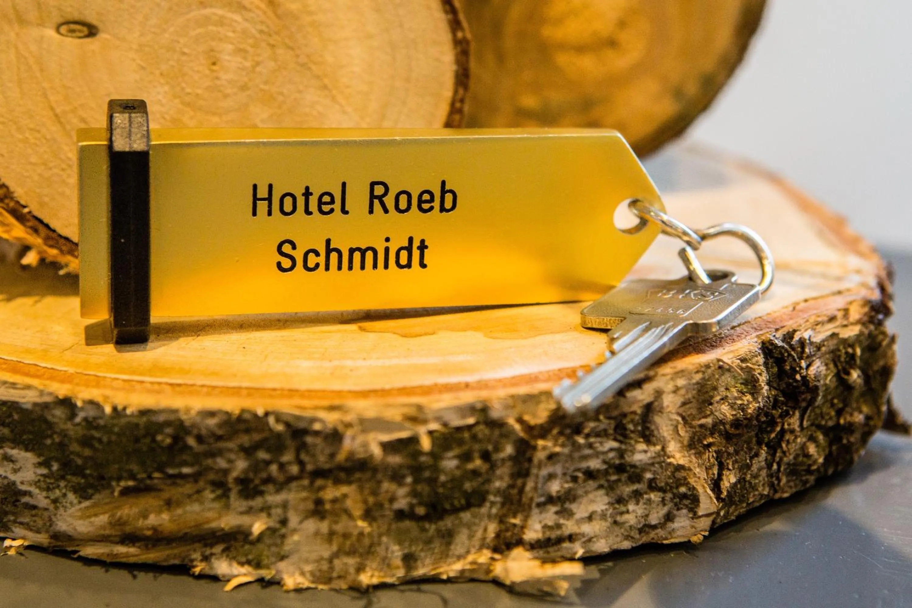 Property logo or sign in Hotel Roeb