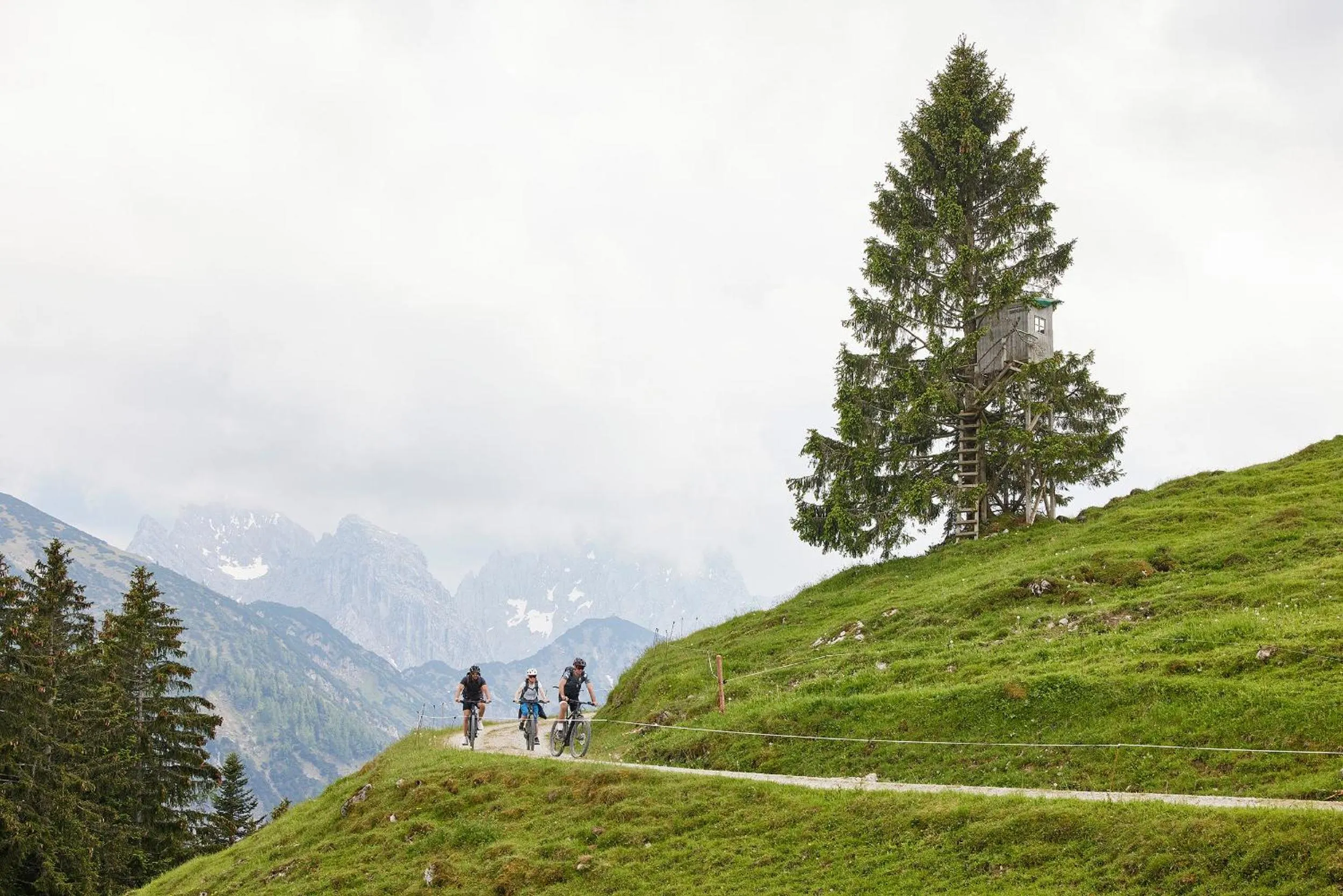Cycling in Das Walchsee Resort