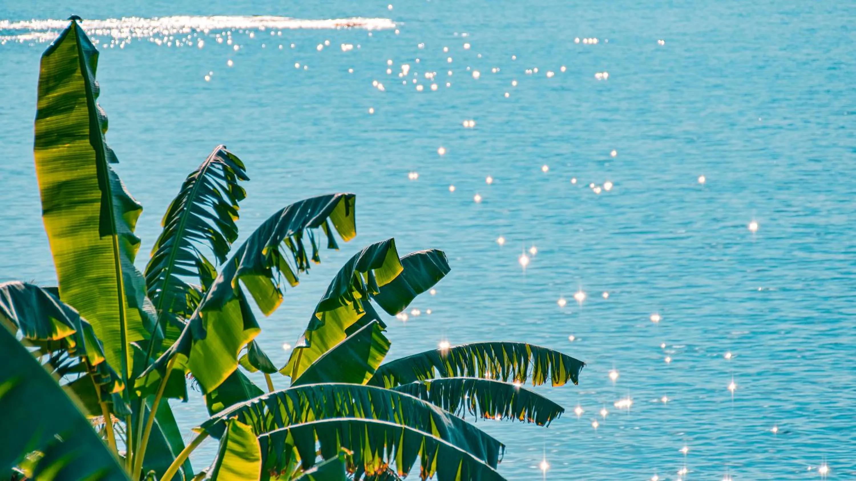 Natural landscape in Feniks Priority Hotel -All Inclusive