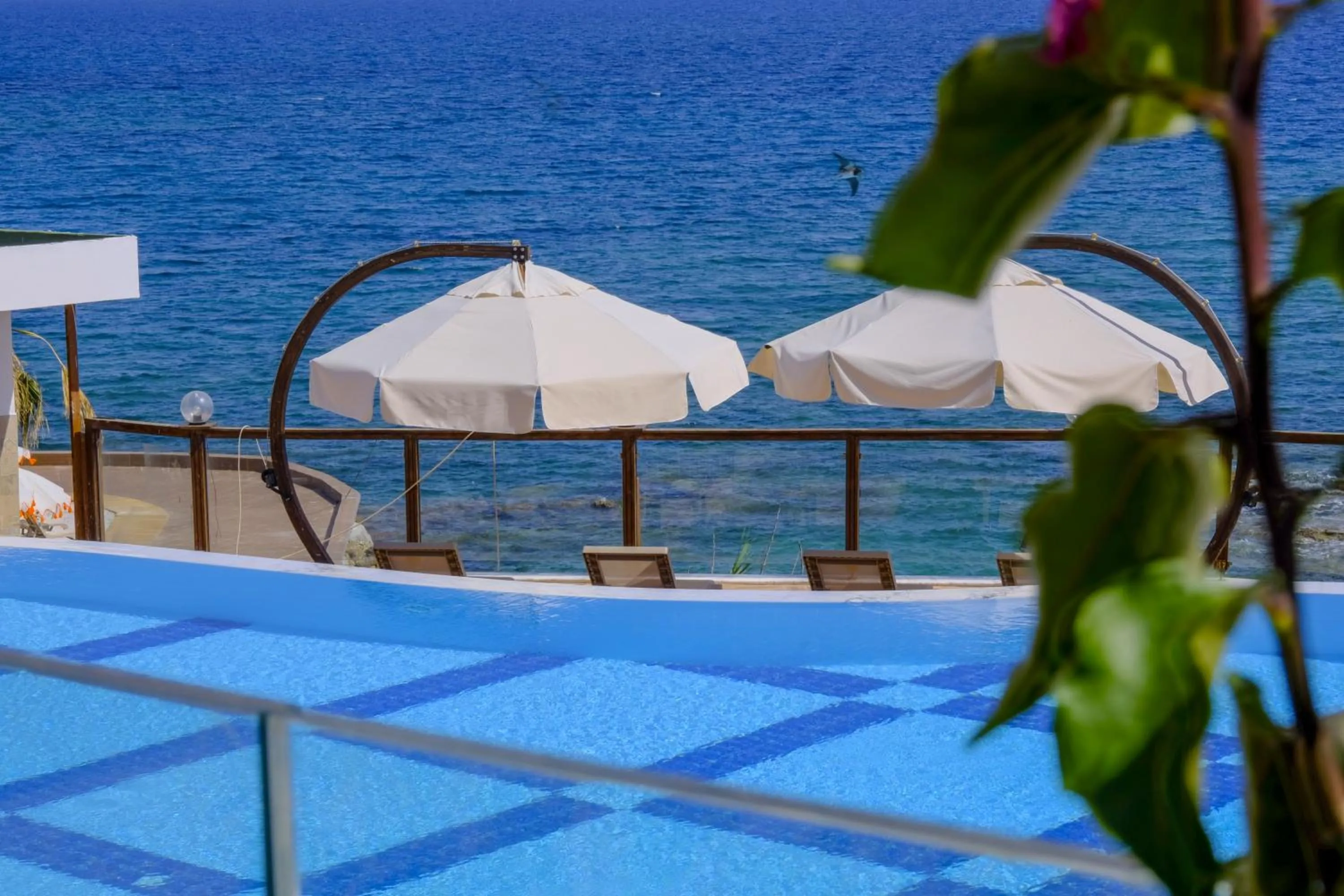 Day in Feniks Priority Hotel -All Inclusive