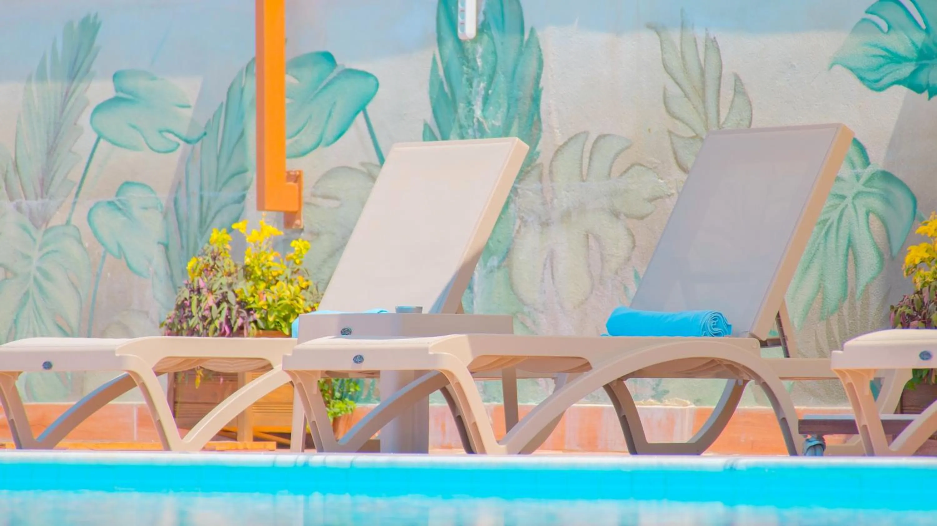 Pool view in Feniks Priority Hotel -All Inclusive