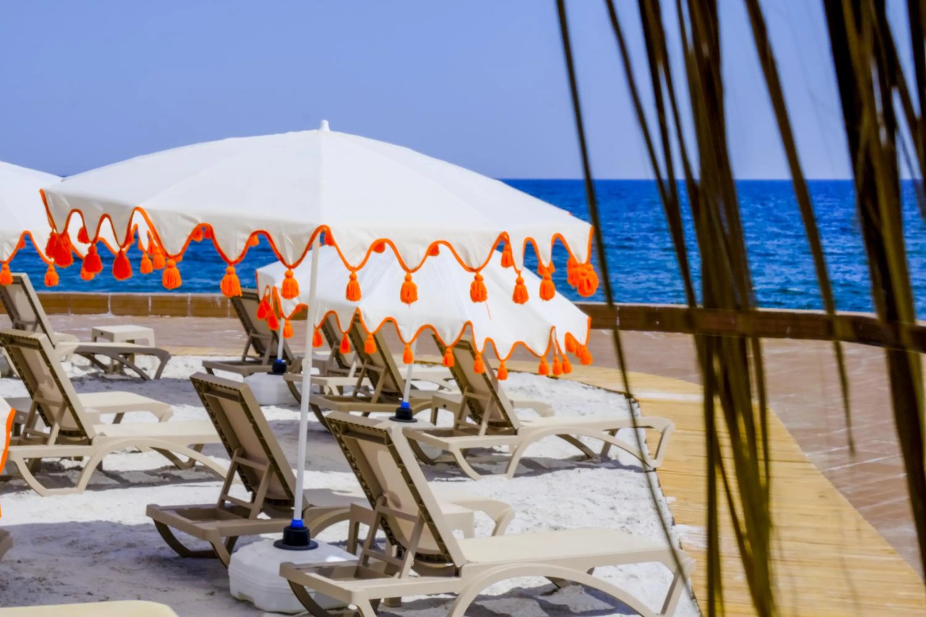 Day in Feniks Priority Hotel -All Inclusive