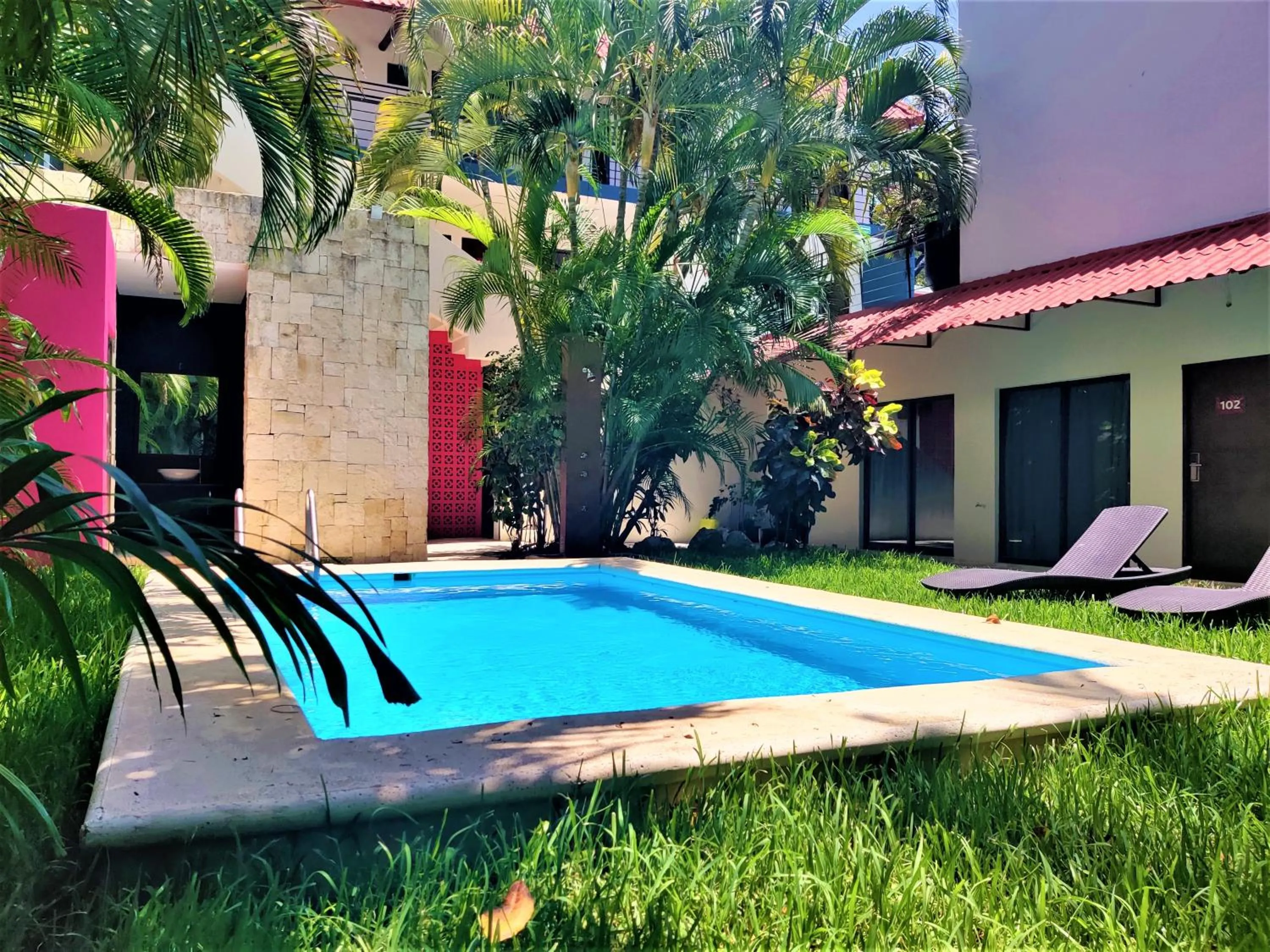 Swimming pool in Hotel Mariachi by Kavia 5th Av