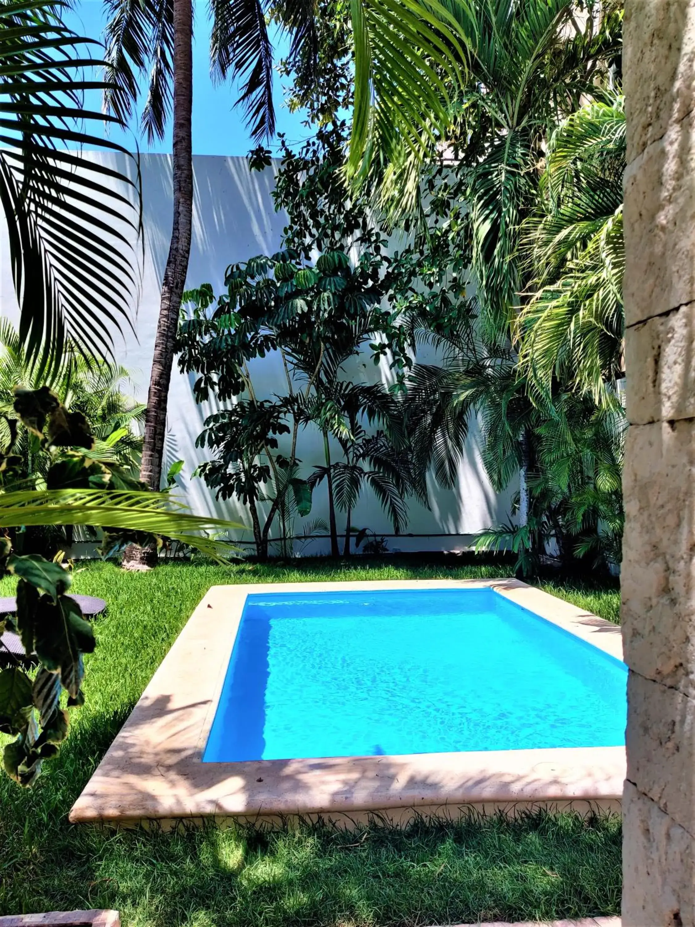 Swimming pool in Hotel Mariachi by Kavia 5th Av Swimming pool in Hotel Mariachi by Kavia 5th Av