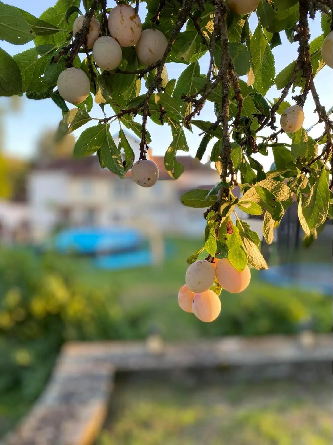 Maison de Campagne Sainte Barbe