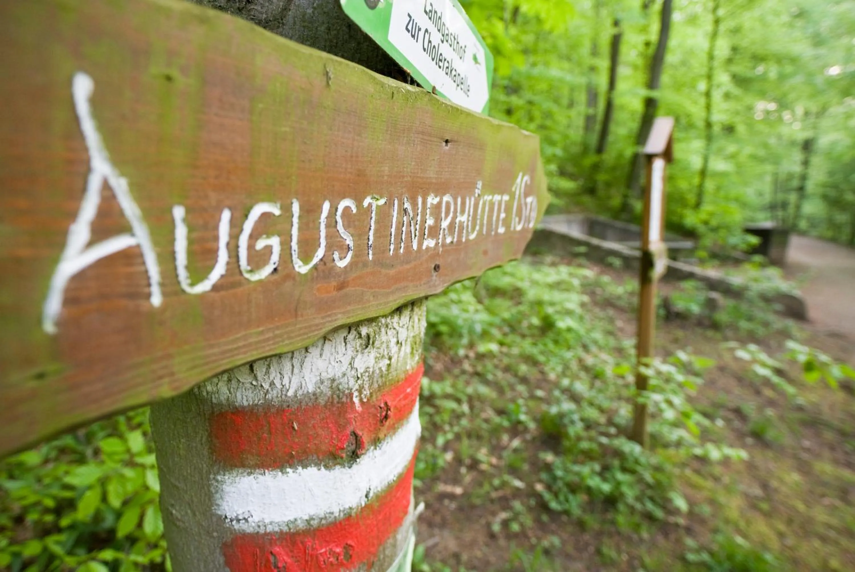Cycling in Hotel Sacher Baden