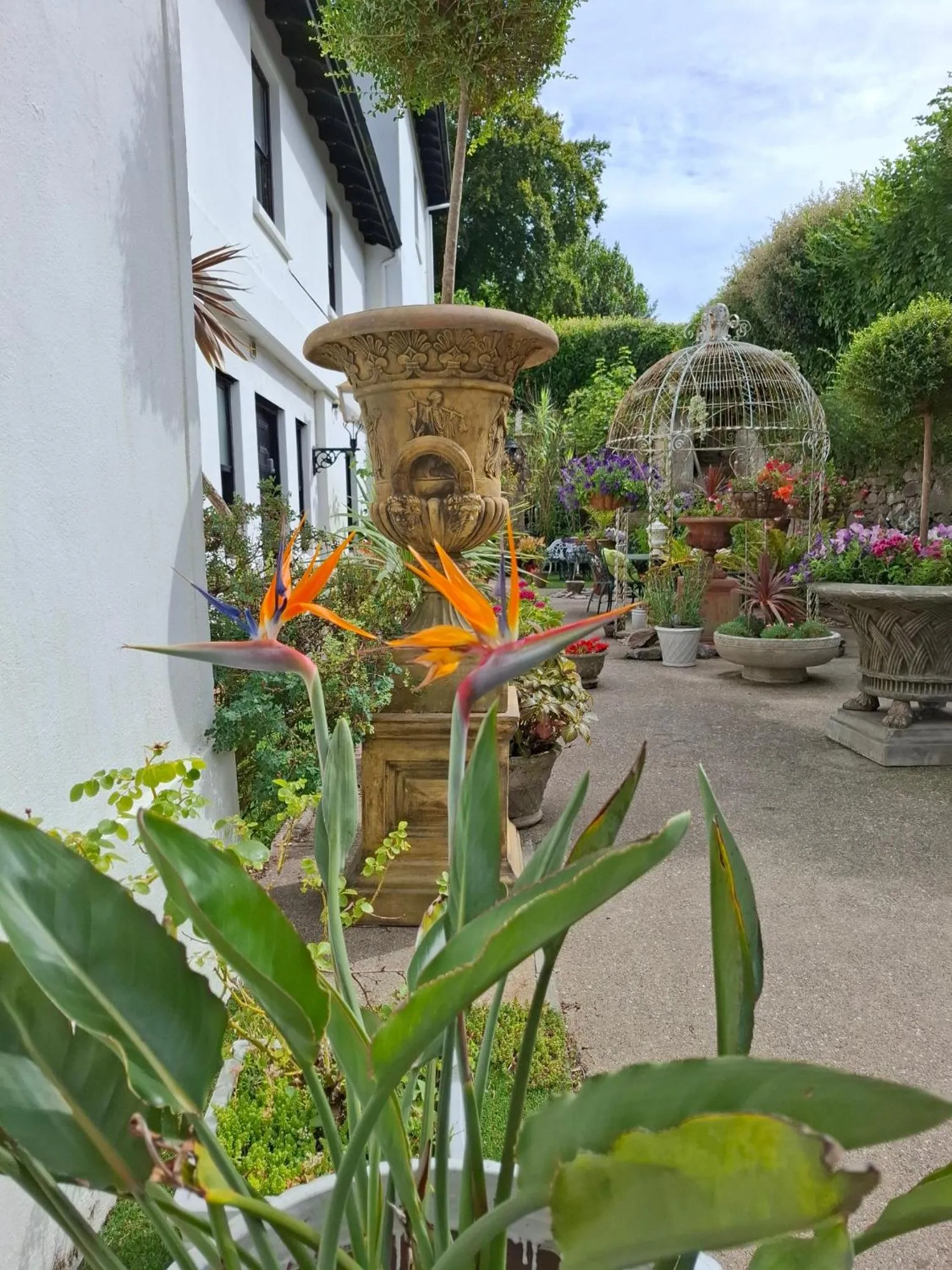 Palm Grove Apartments