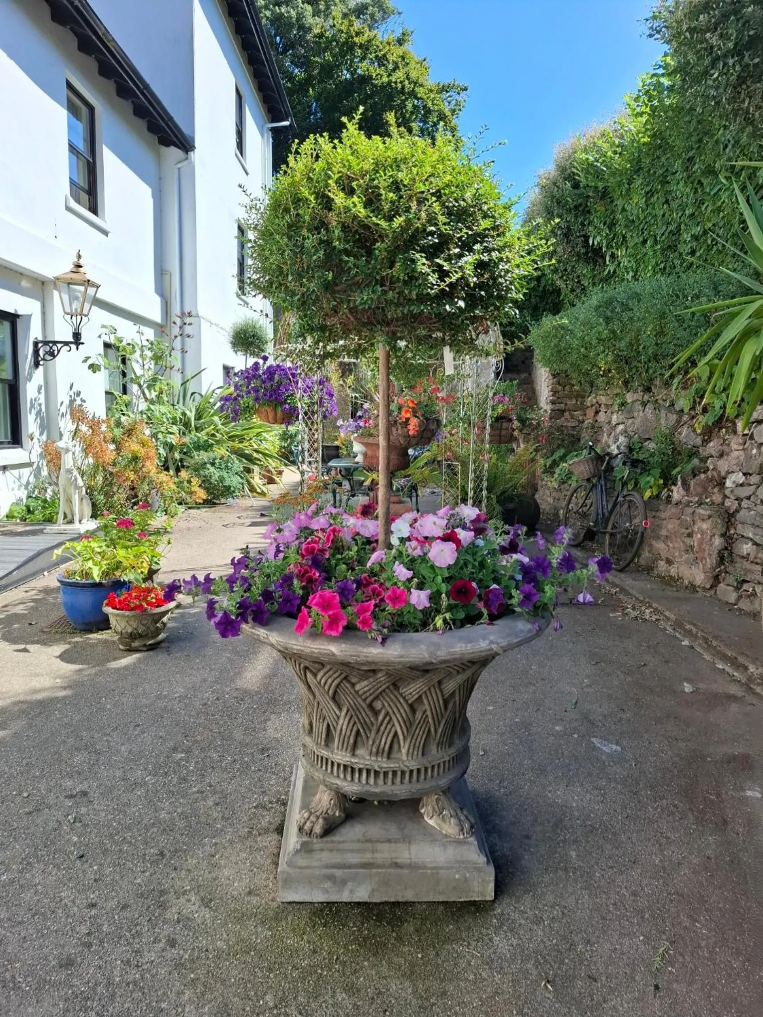 Summer in Palm Grove Apartments